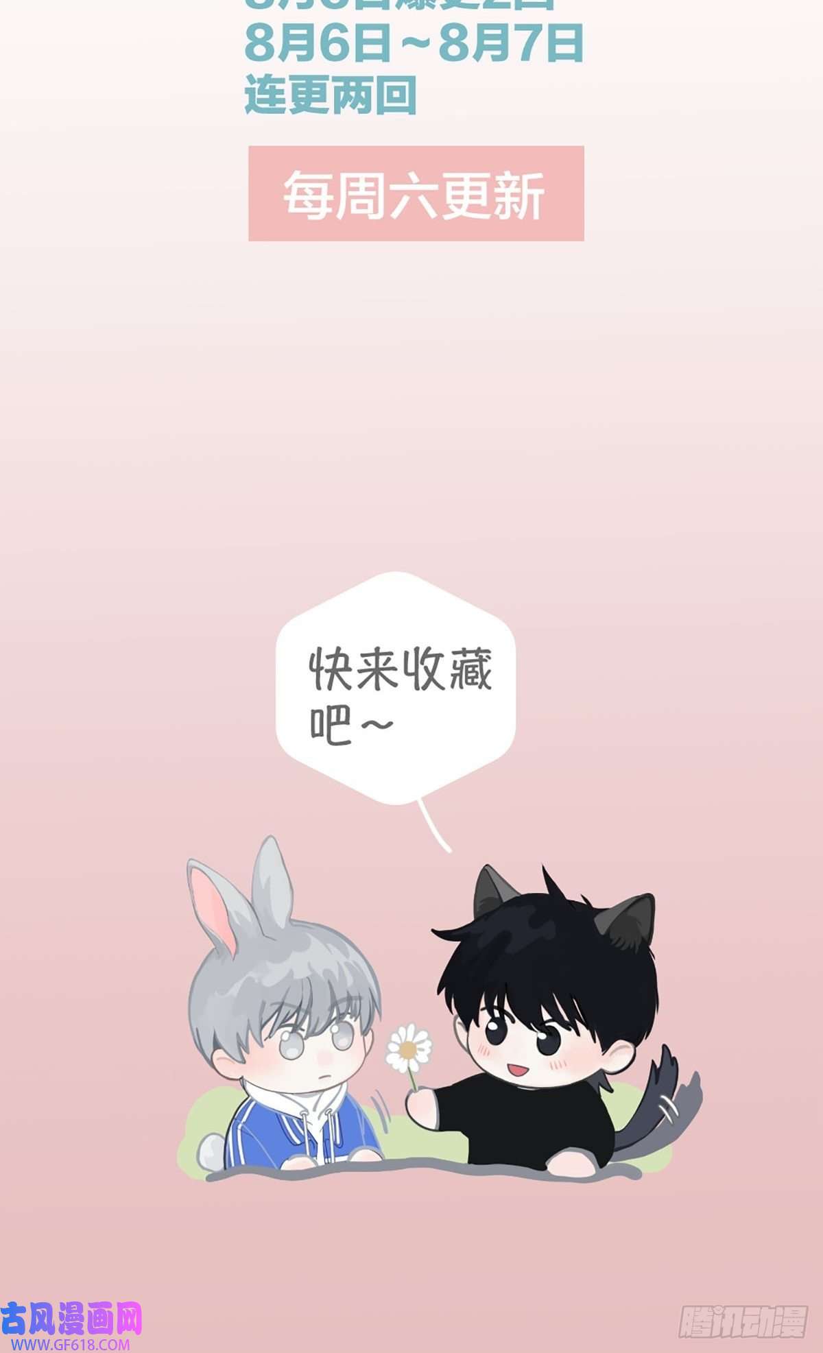 神明的眷顾预告