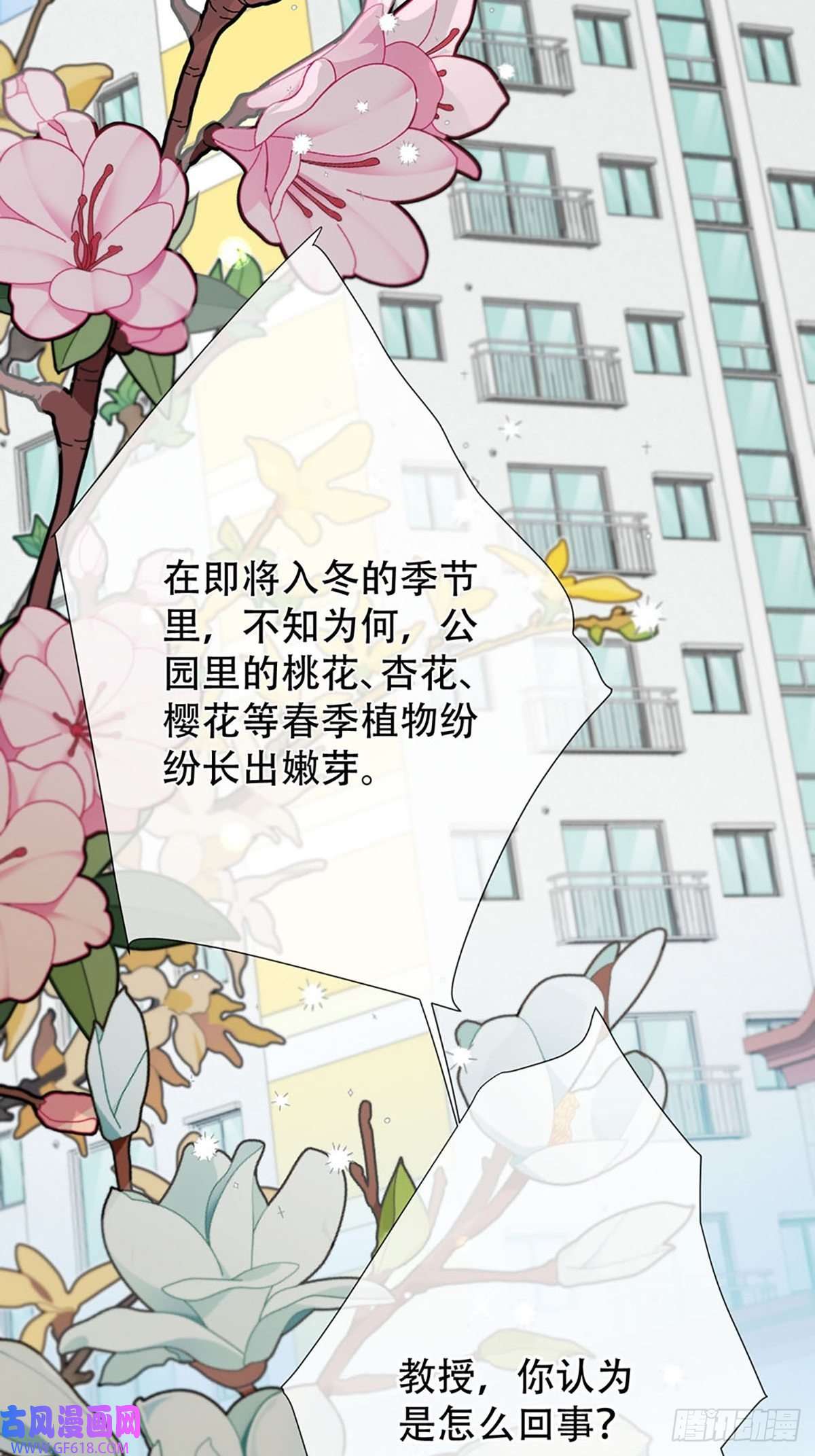 神明的眷顾第一话：奇怪的转学生