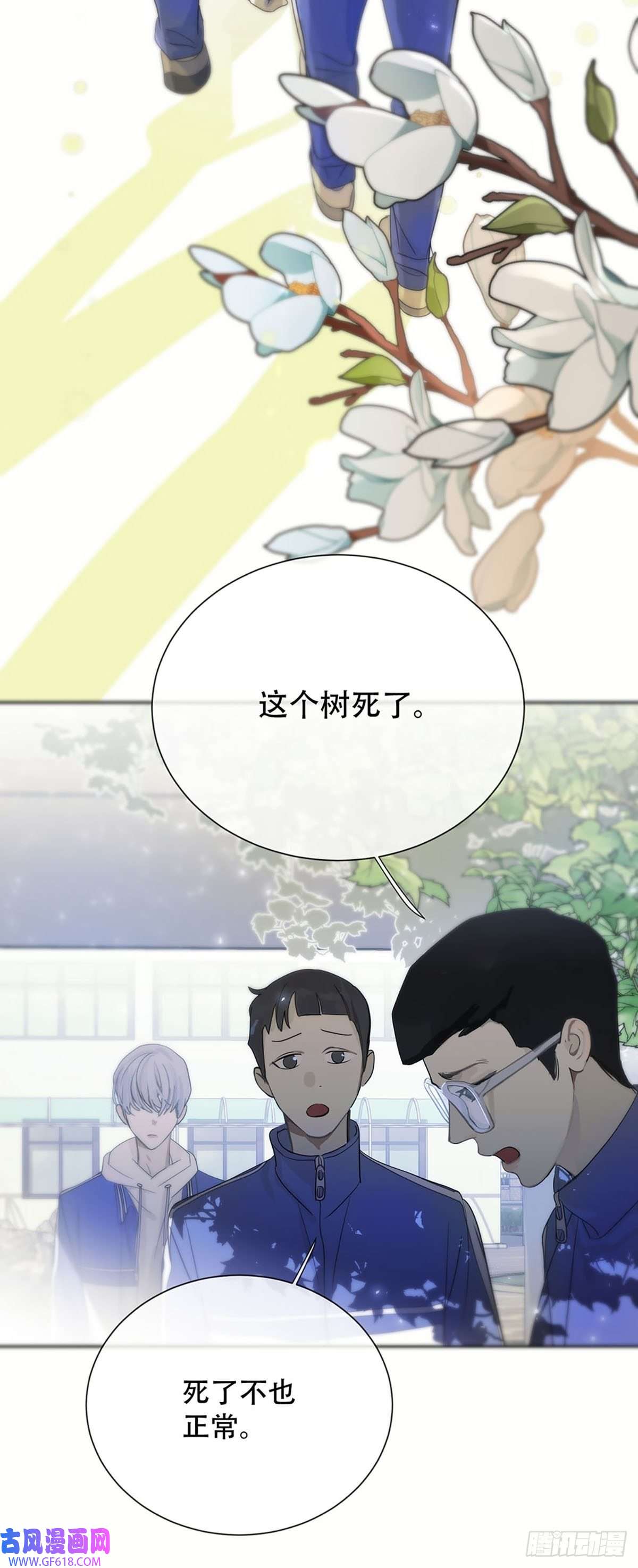 神明的眷顾第一话：奇怪的转学生