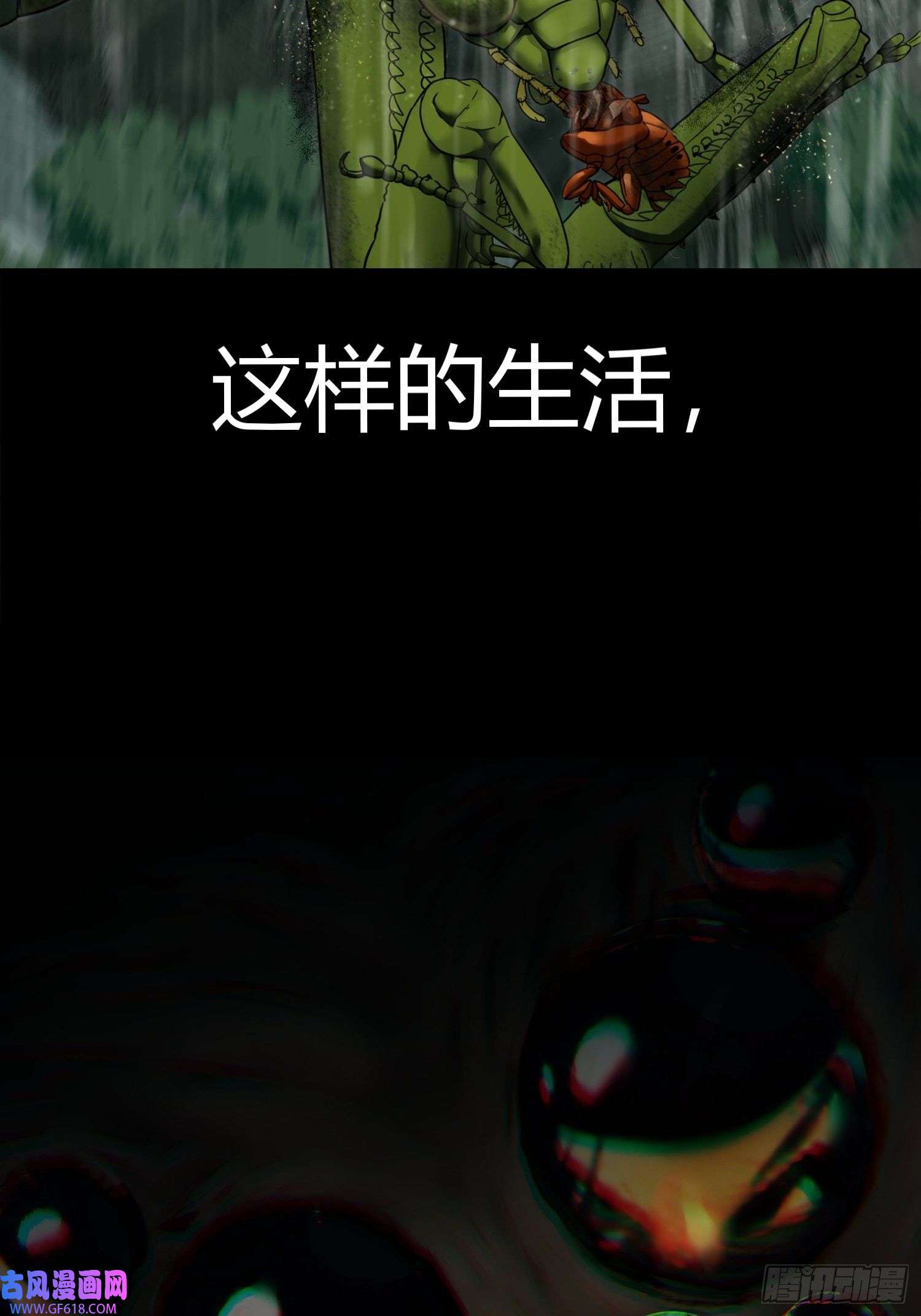 黑夜虫生预告