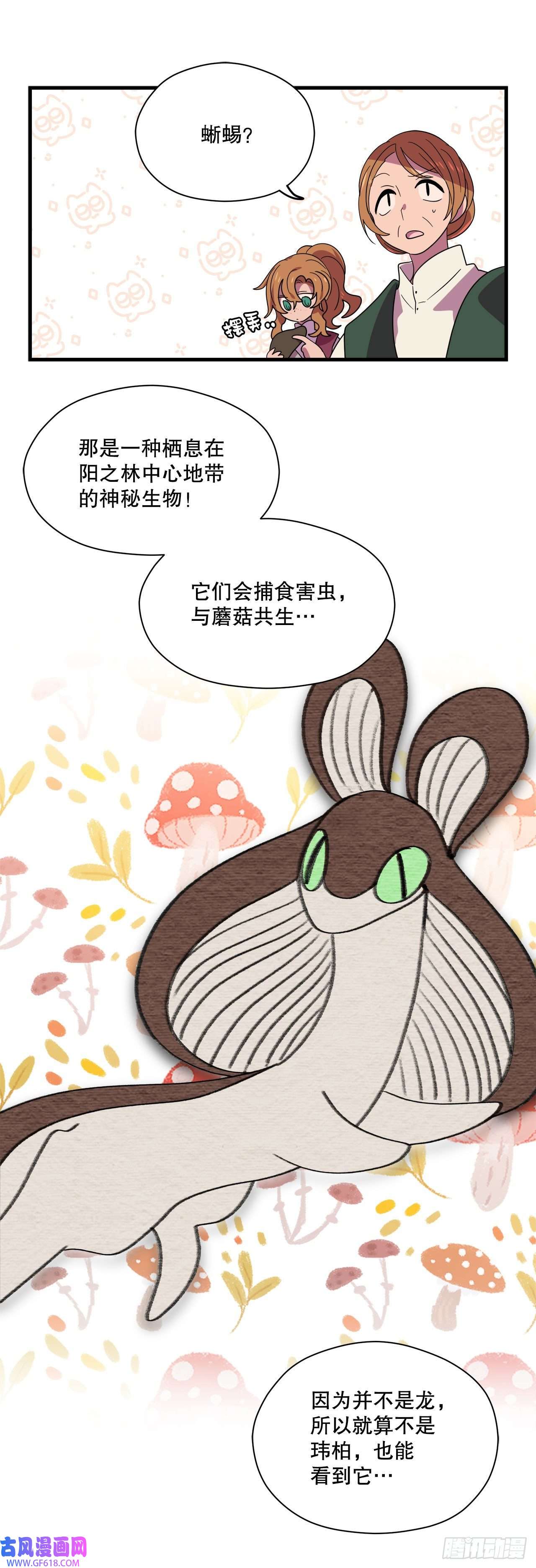 阿斯特里斯克：龙与少年2.寻找力量