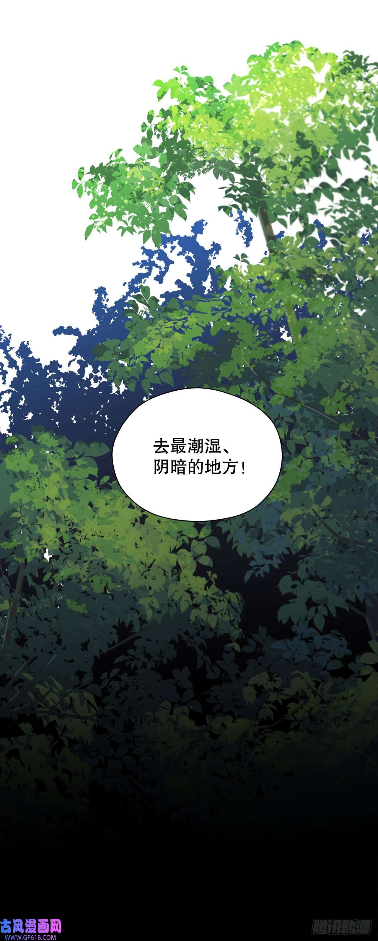 阿斯特里斯克：龙与少年2.寻找力量