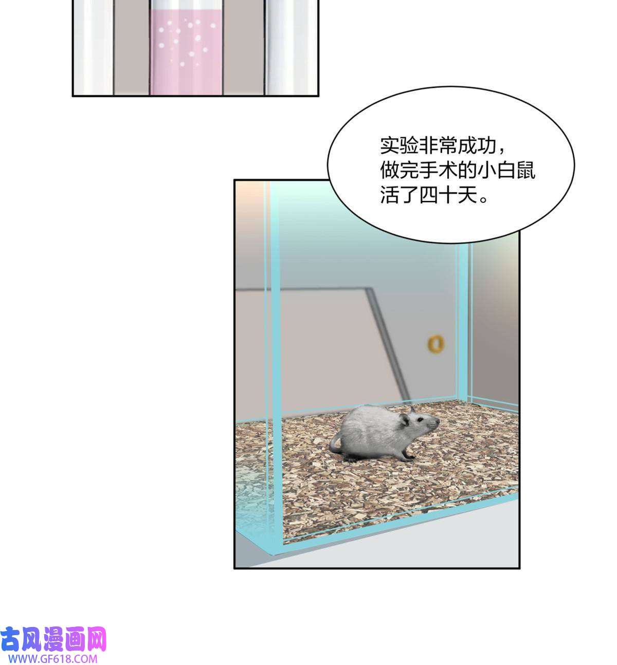 手术直播间29