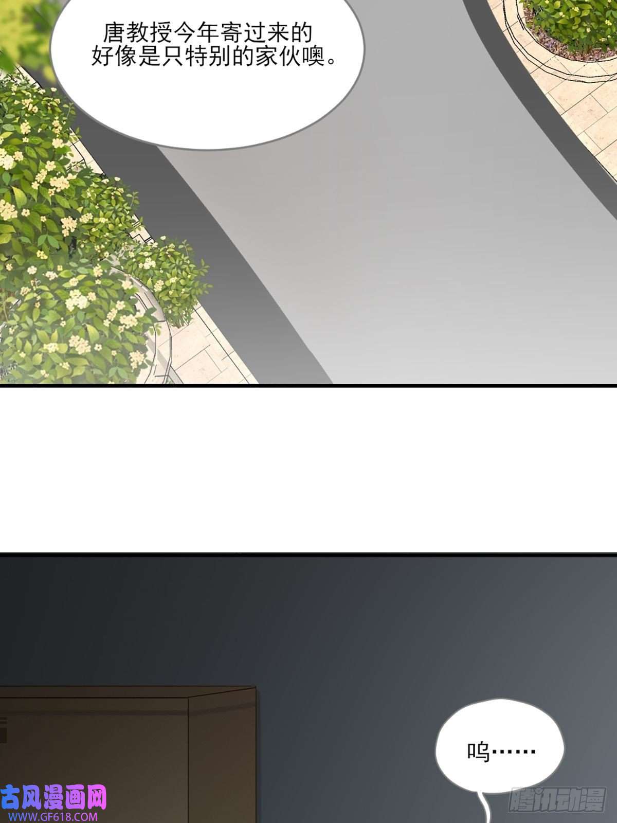 只有尾巴不可以！再次相遇却失忆？