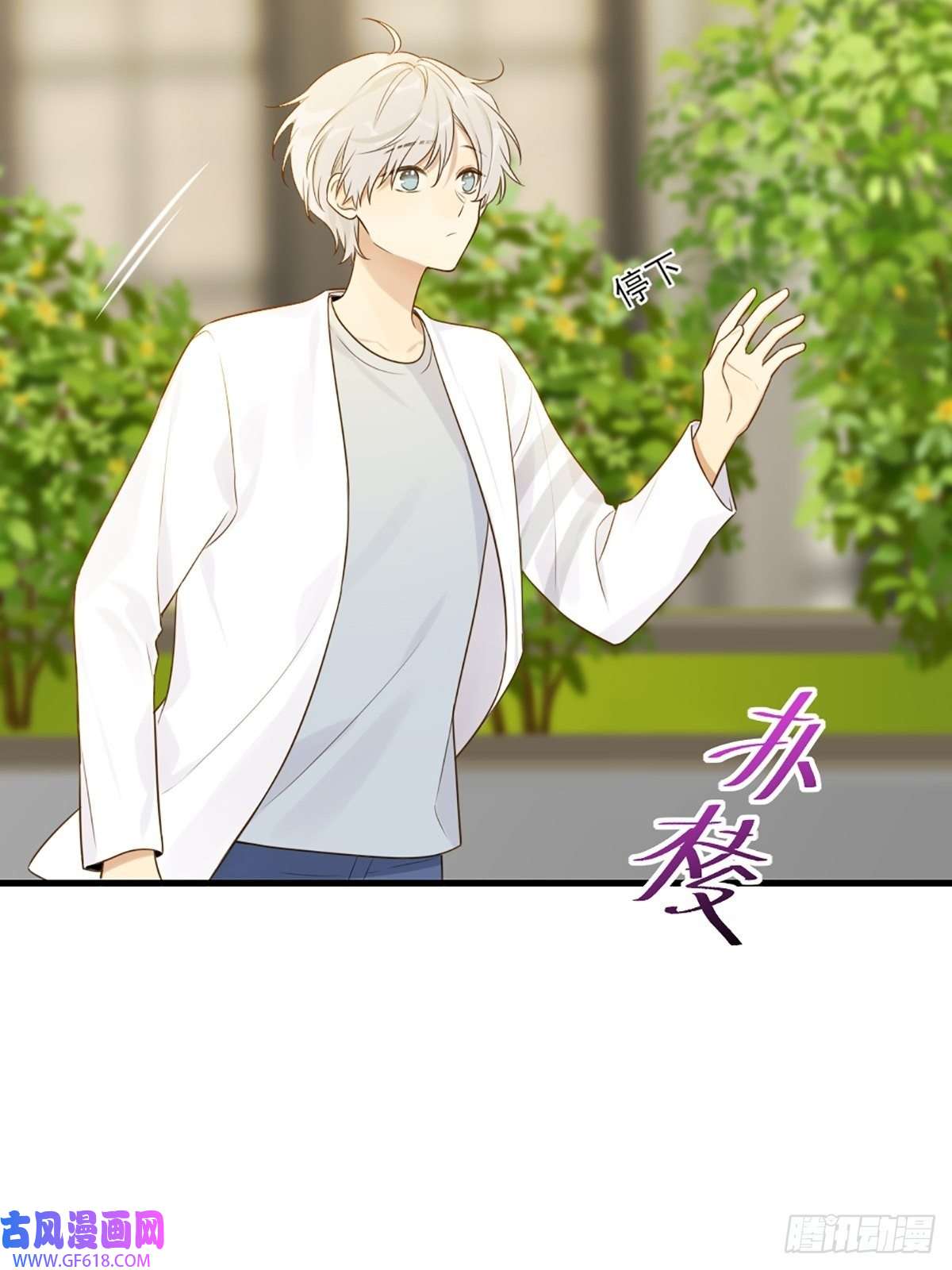 只有尾巴不可以！再次相遇却失忆？