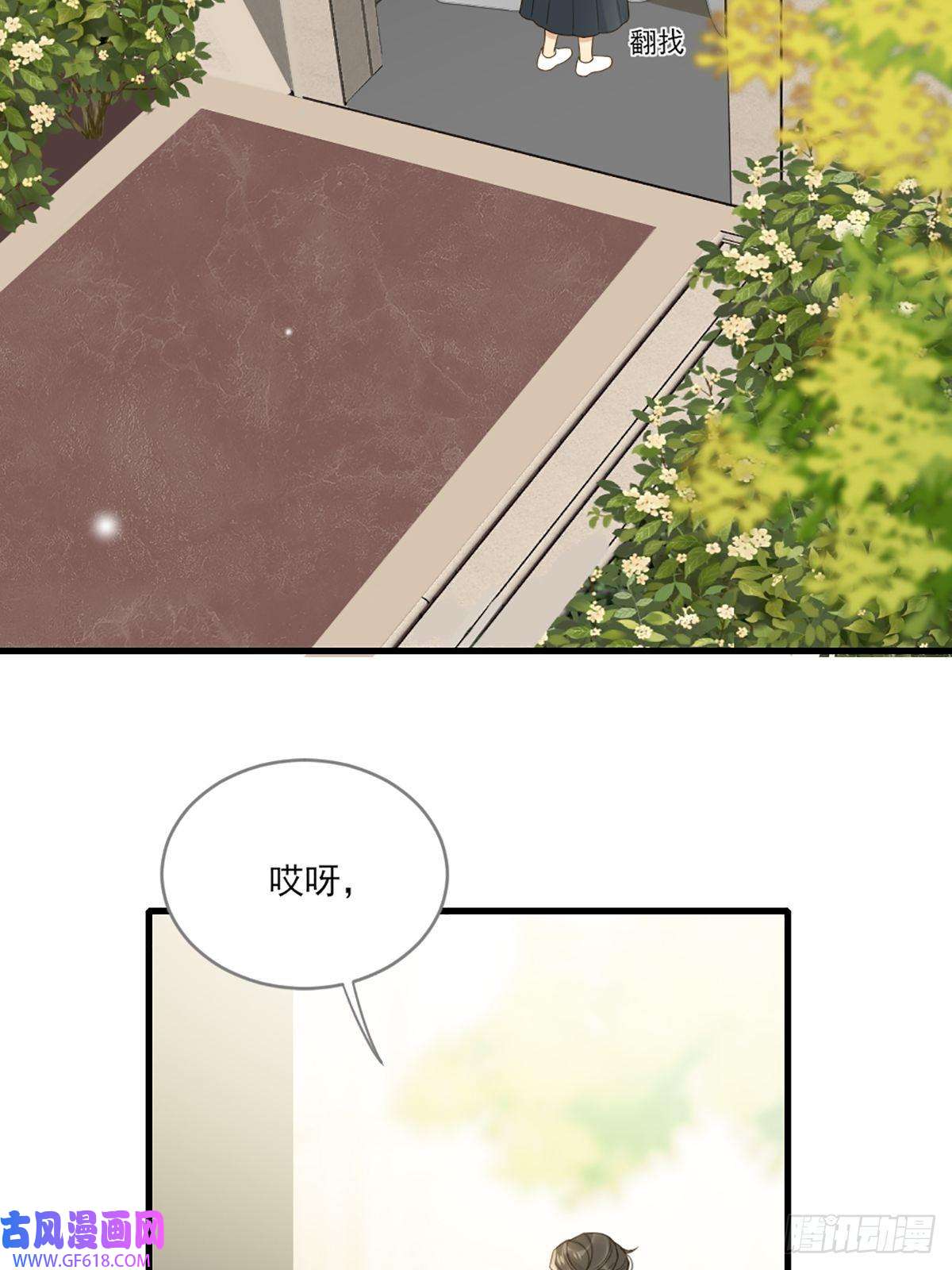 只有尾巴不可以！再次相遇却失忆？