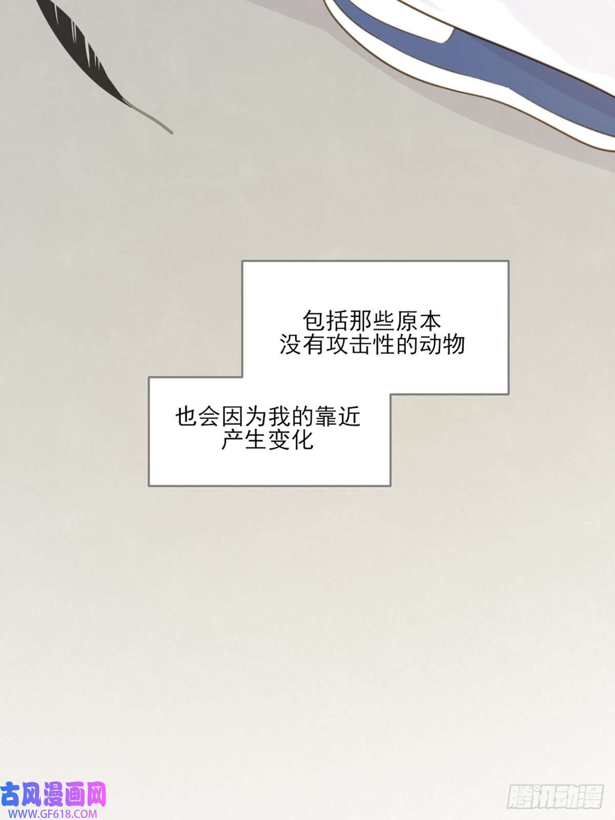 只有尾巴不可以！再次相遇却失忆？