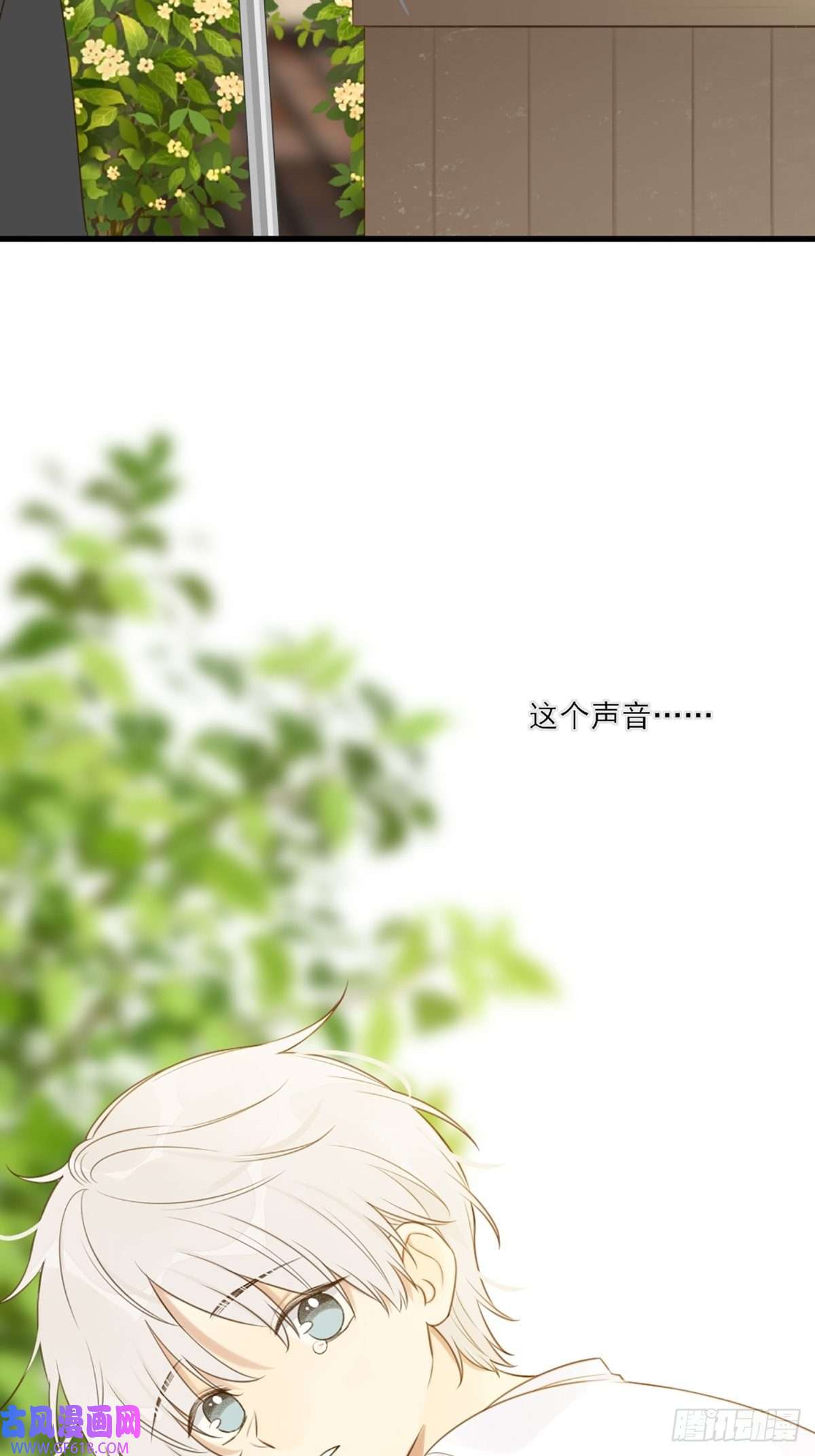 只有尾巴不可以！再次相遇却失忆？