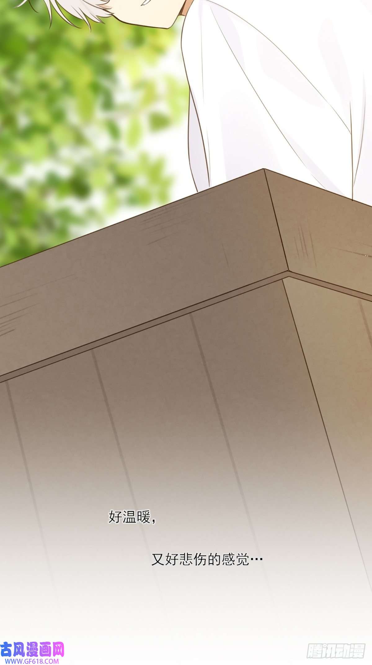 只有尾巴不可以！再次相遇却失忆？