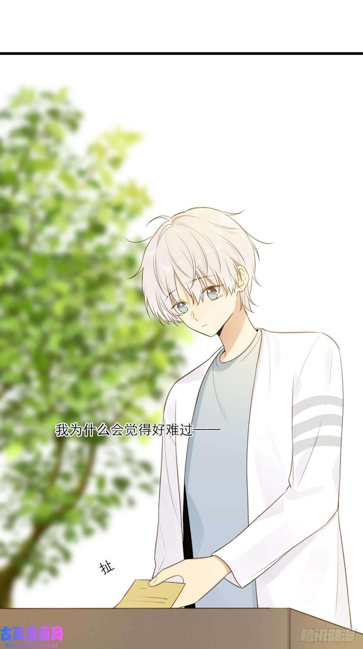 只有尾巴不可以！再次相遇却失忆？