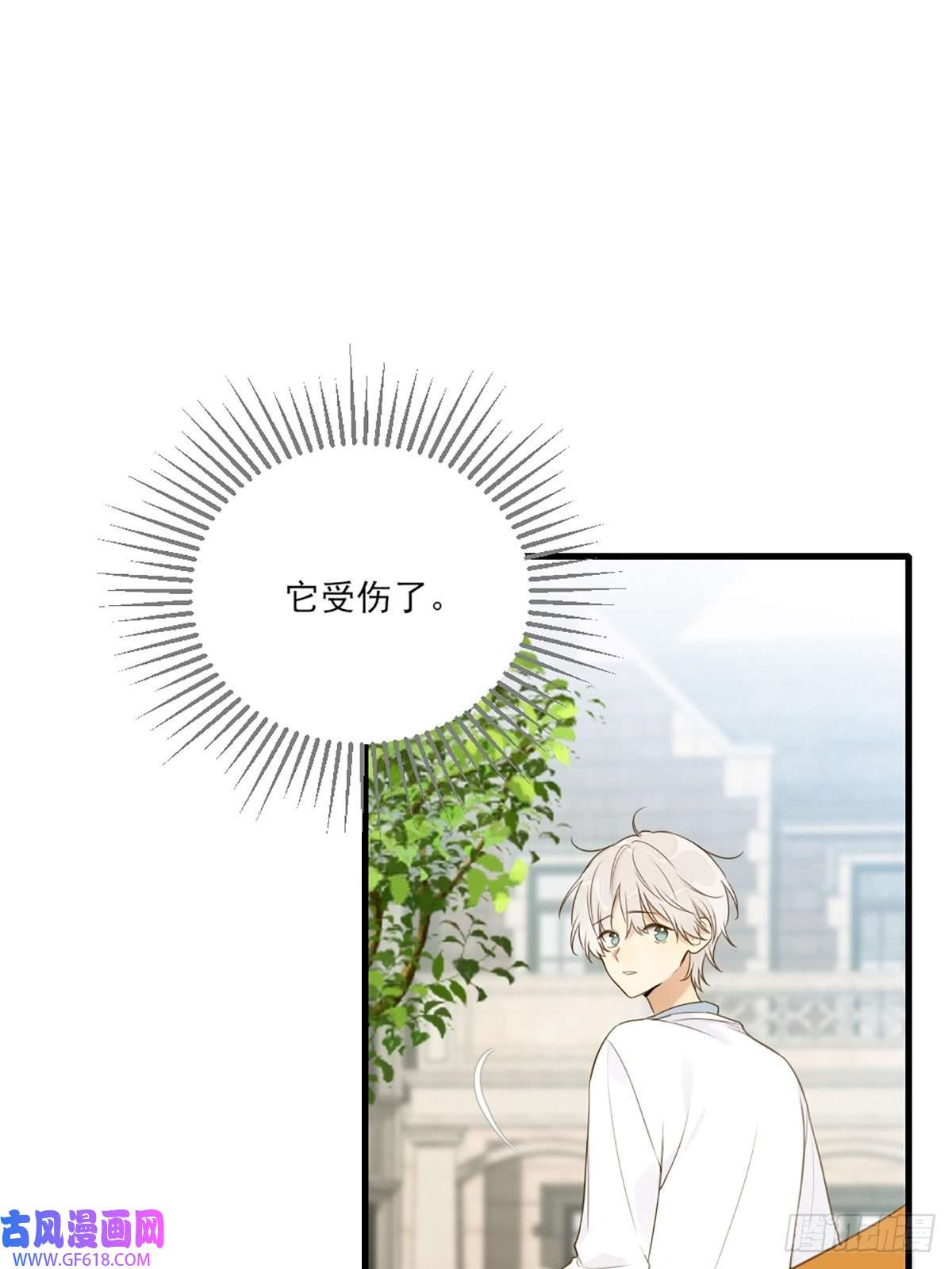 只有尾巴不可以！再次相遇却失忆？