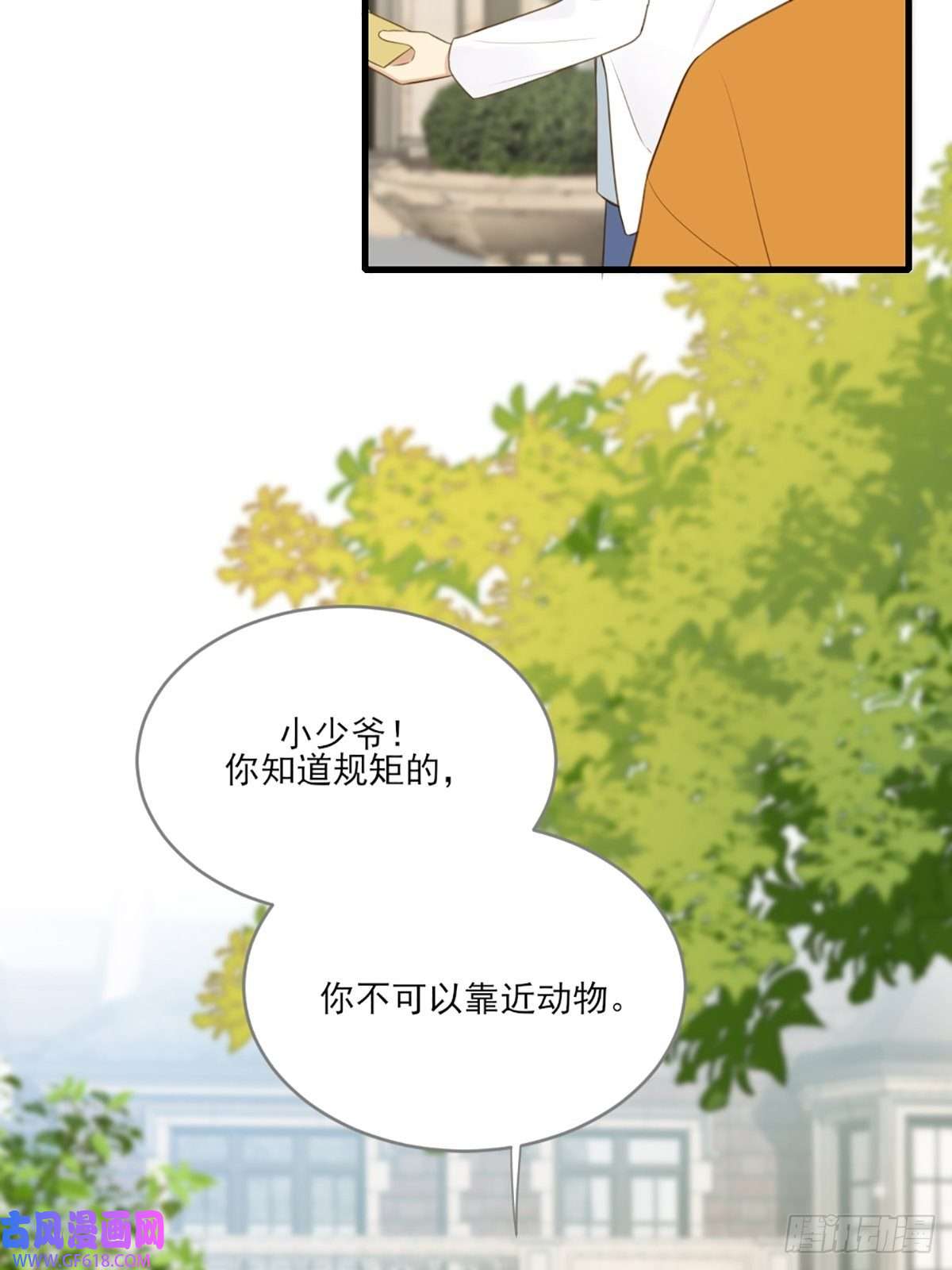 只有尾巴不可以！再次相遇却失忆？