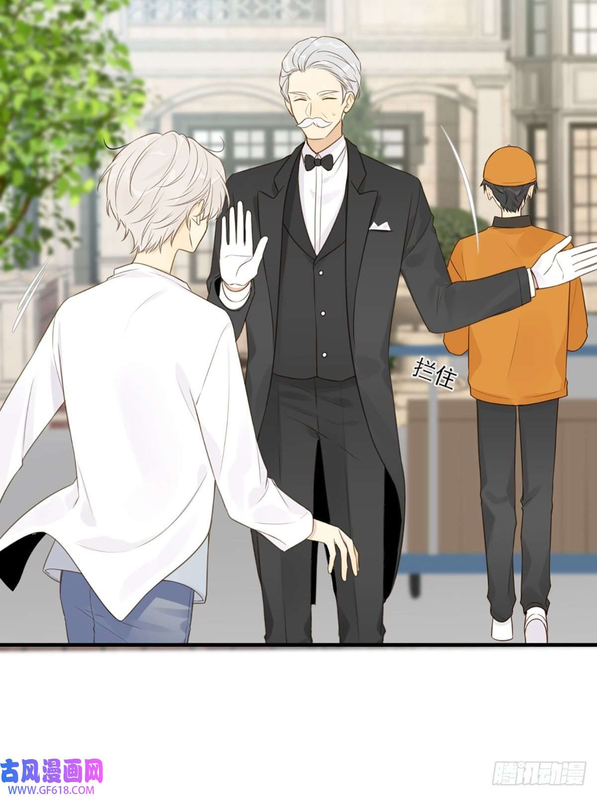 只有尾巴不可以！再次相遇却失忆？