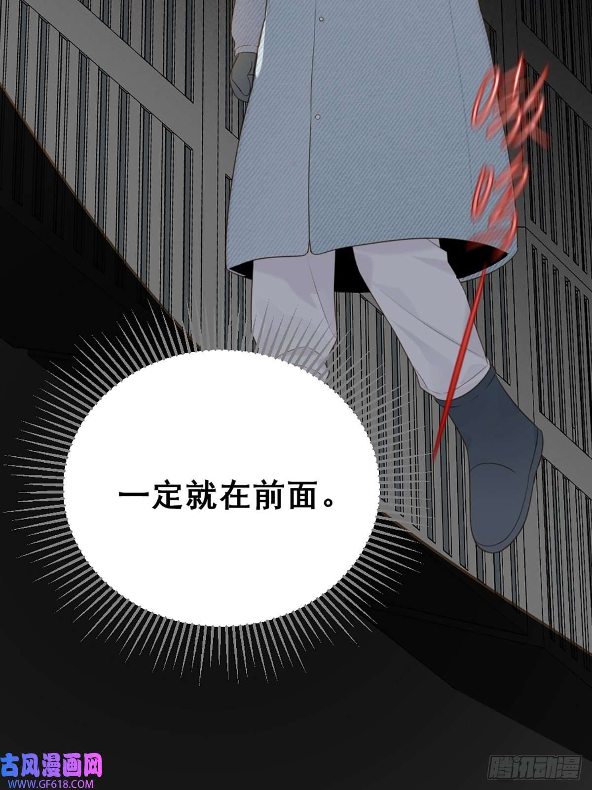 只有尾巴不可以！再次相遇却失忆？