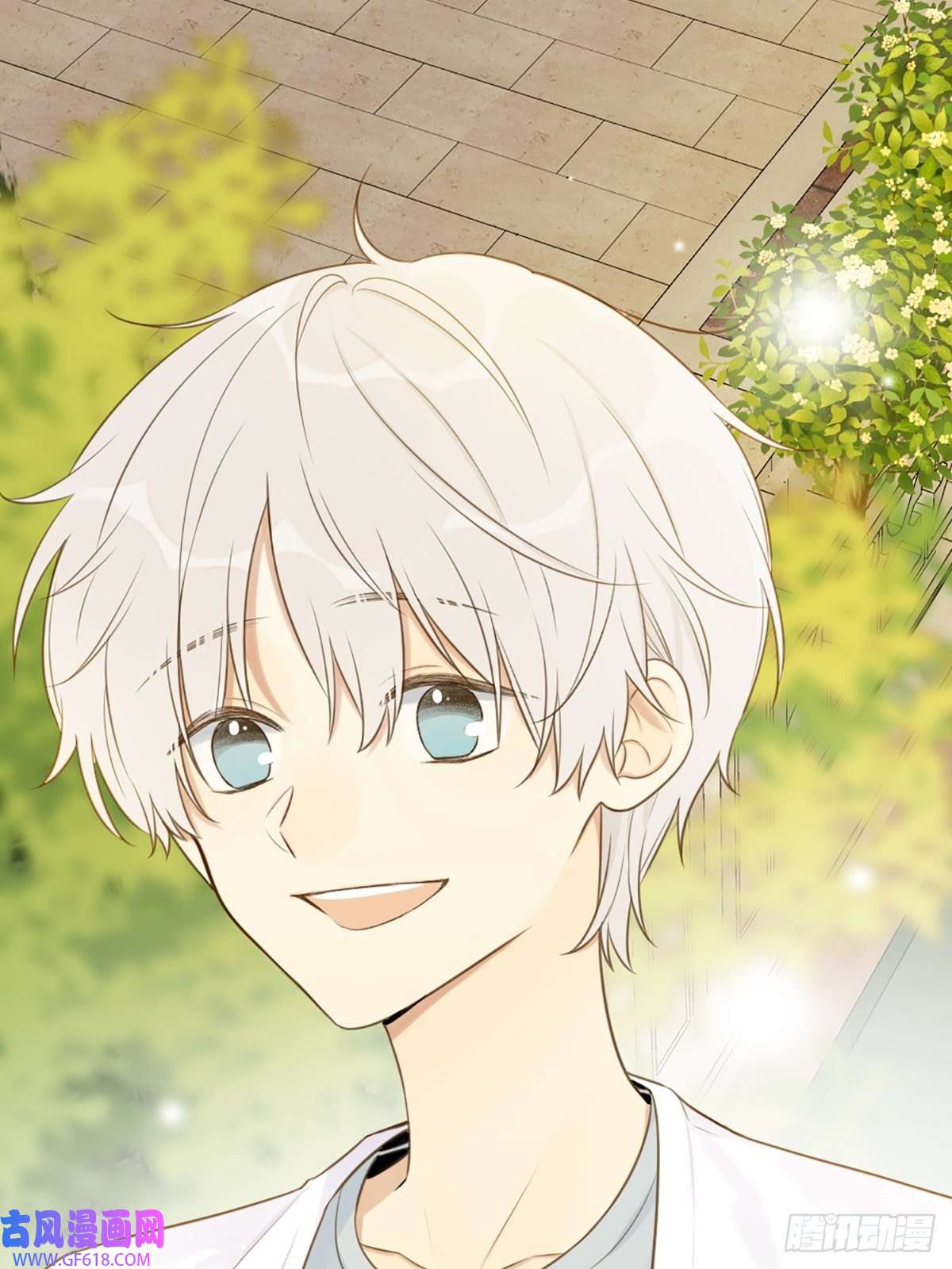 只有尾巴不可以！再次相遇却失忆？