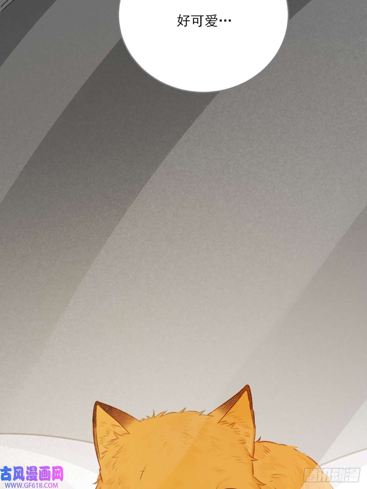 只有尾巴不可以！再次相遇却失忆？