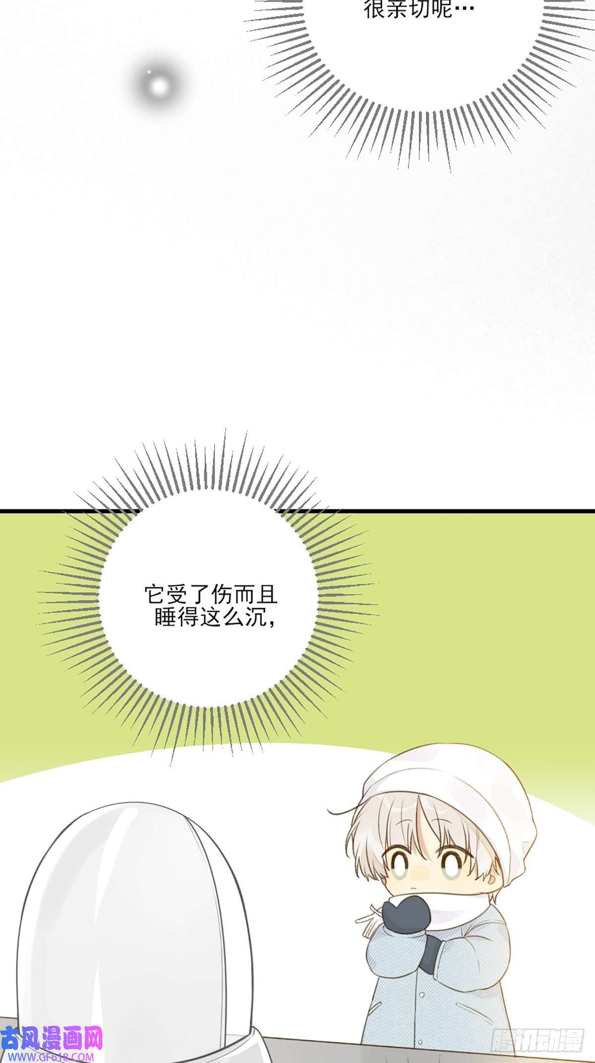 只有尾巴不可以！再次相遇却失忆？