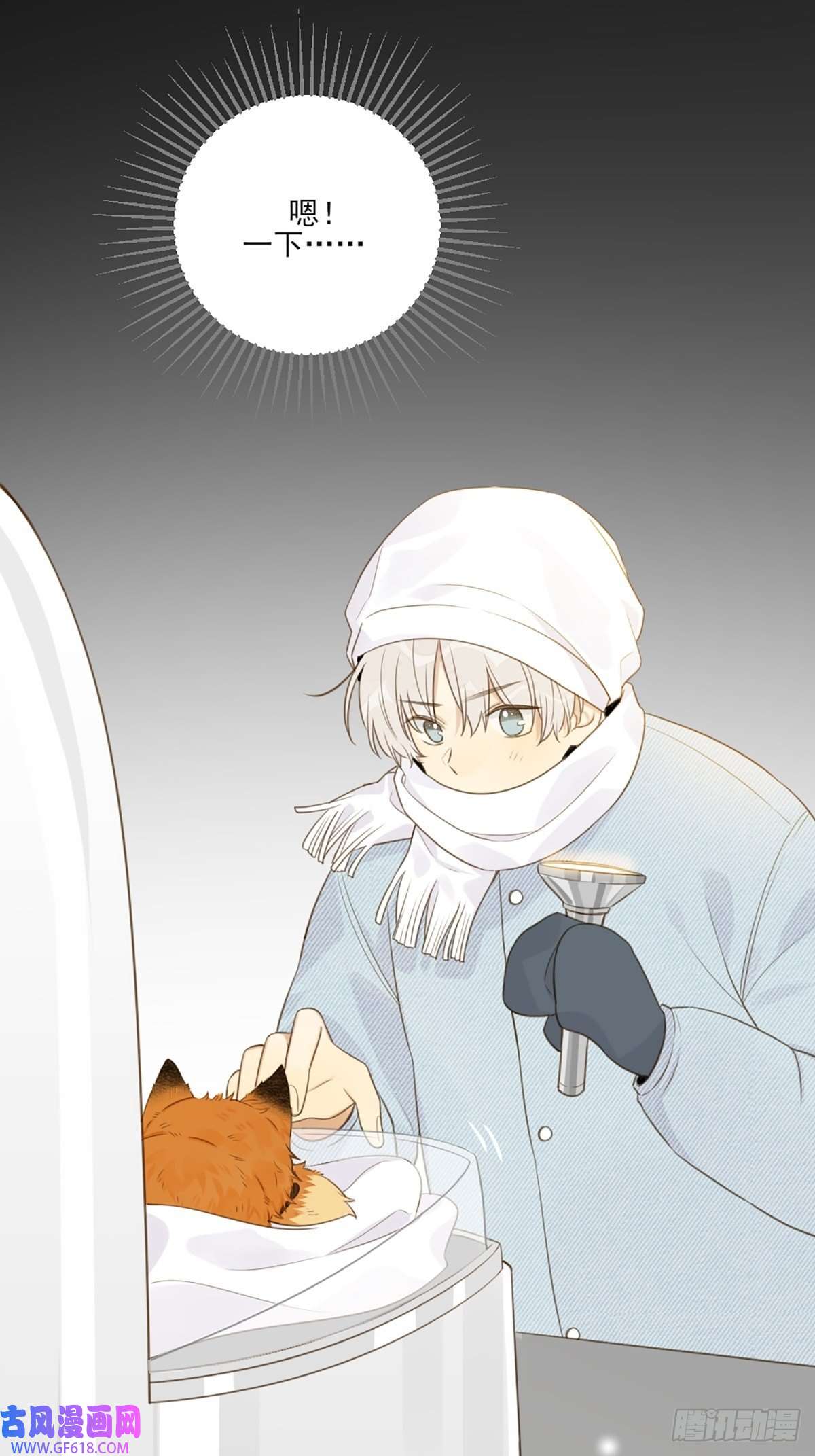 只有尾巴不可以！再次相遇却失忆？