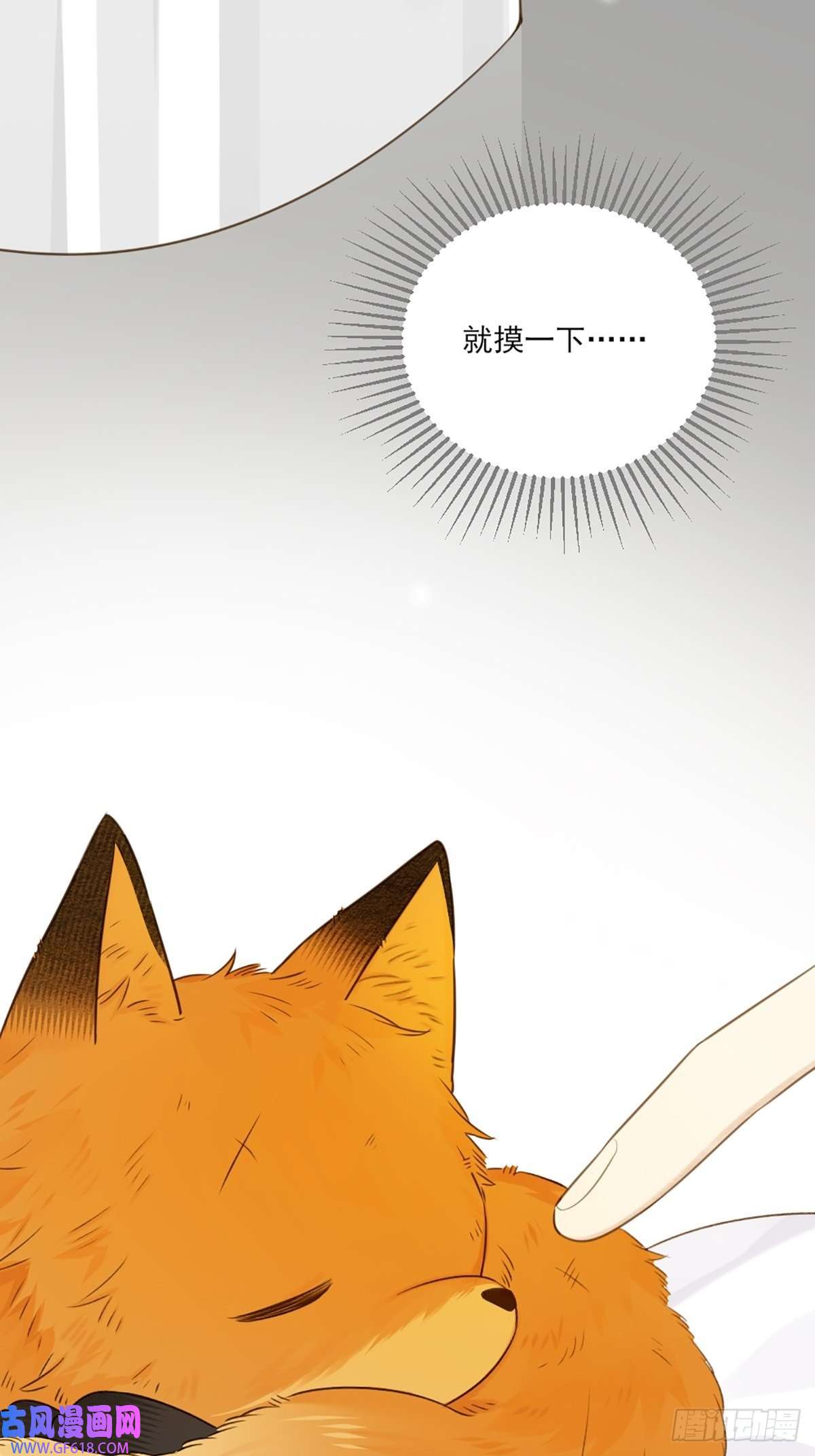 只有尾巴不可以！再次相遇却失忆？