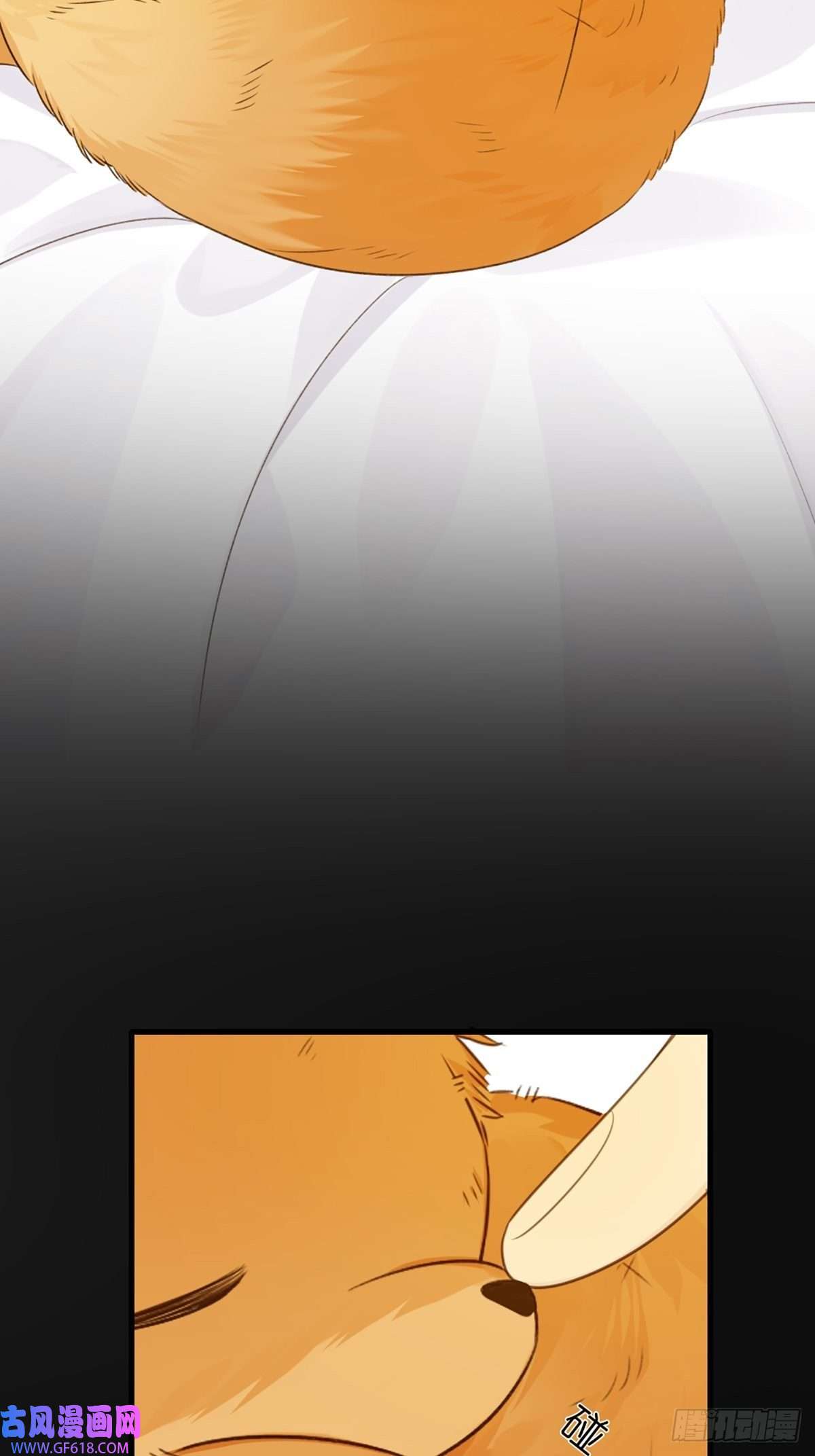 只有尾巴不可以！再次相遇却失忆？