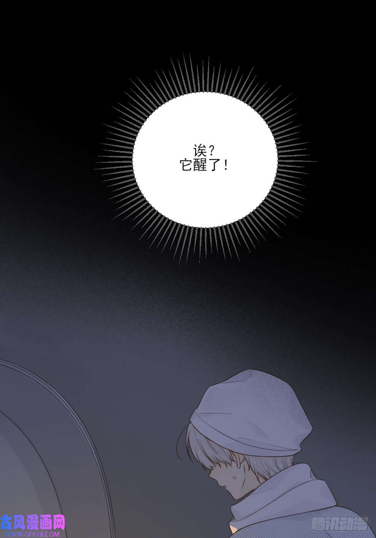 只有尾巴不可以！抱着你入睡