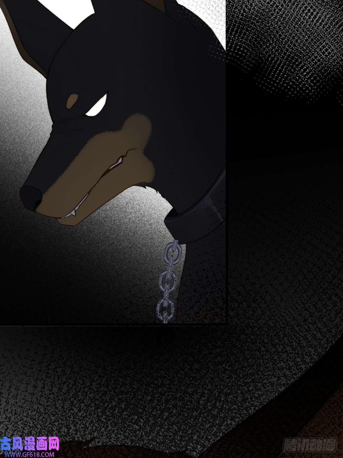 只有尾巴不可以！抱着你入睡