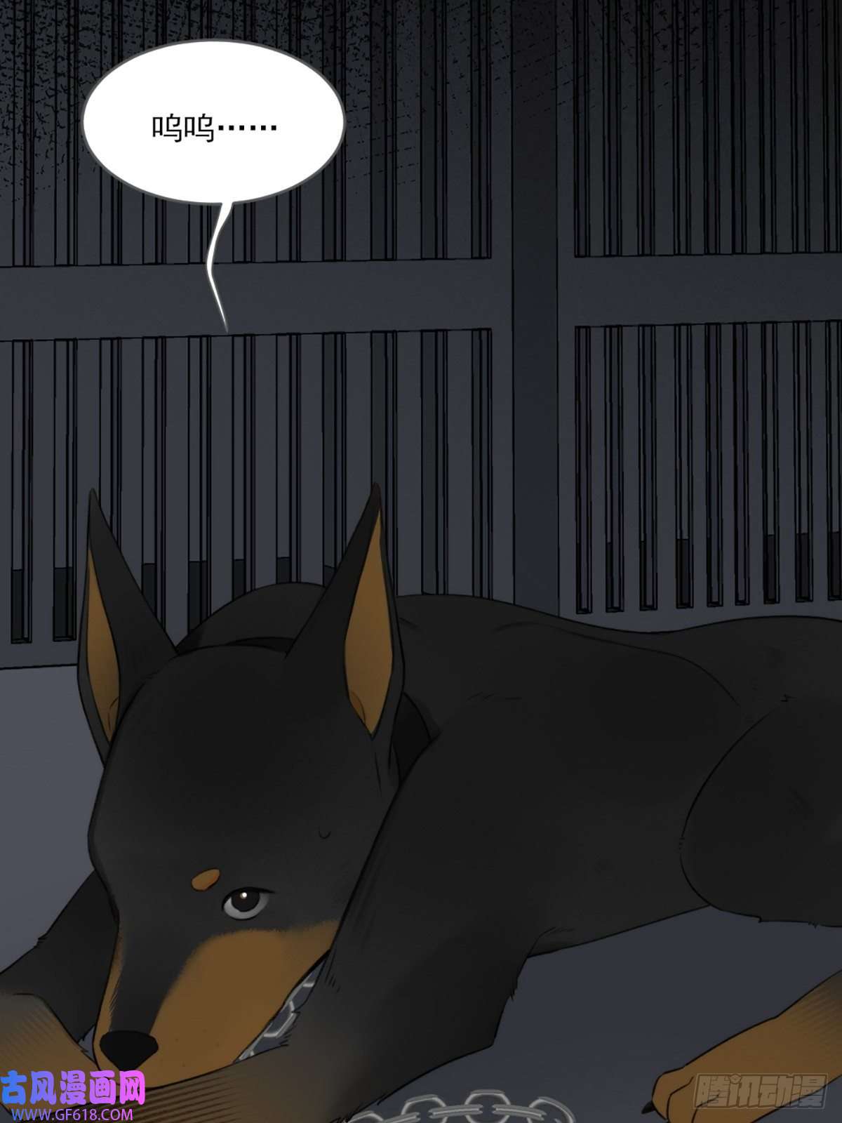 只有尾巴不可以！抱着你入睡