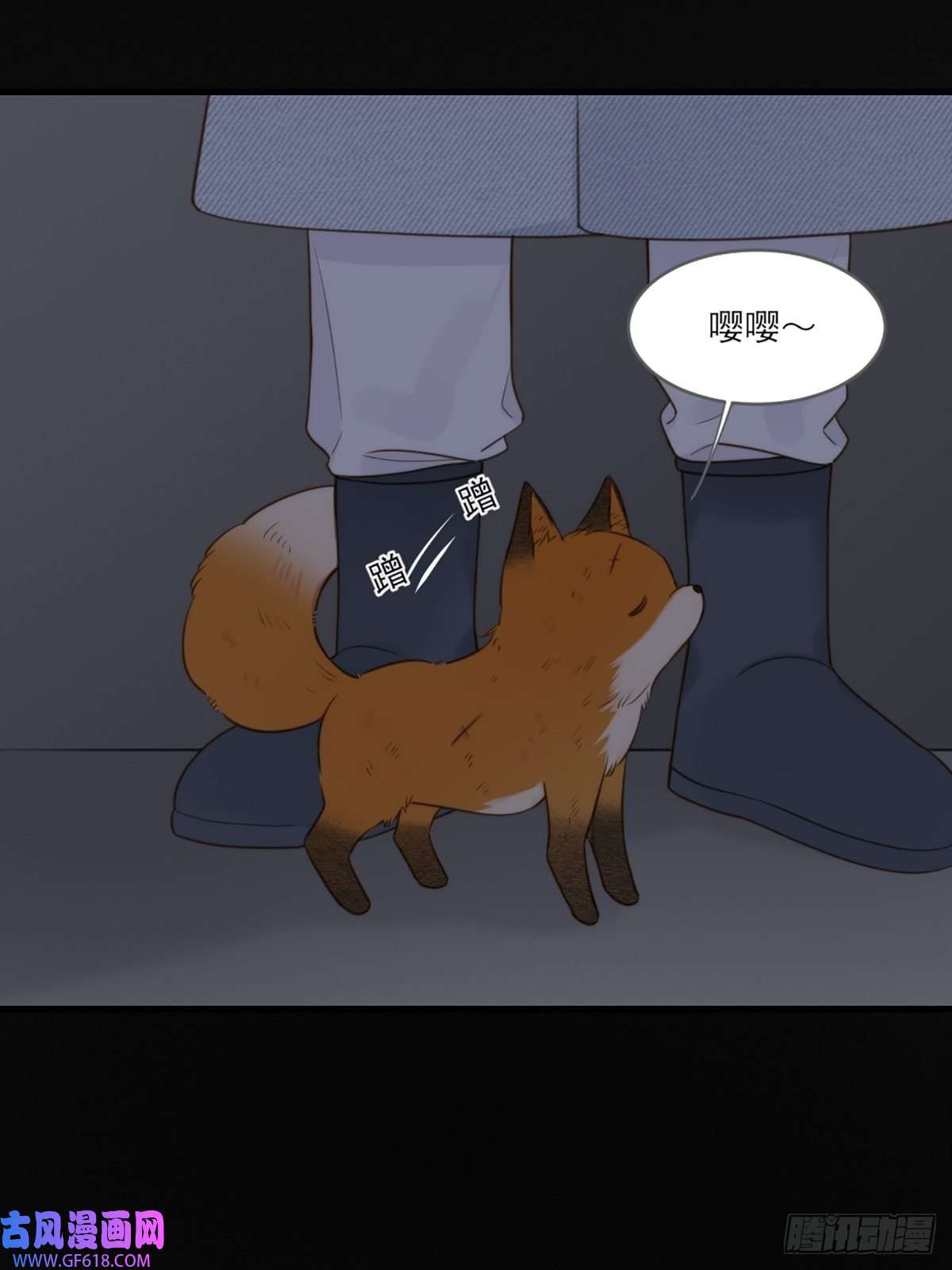 只有尾巴不可以！抱着你入睡