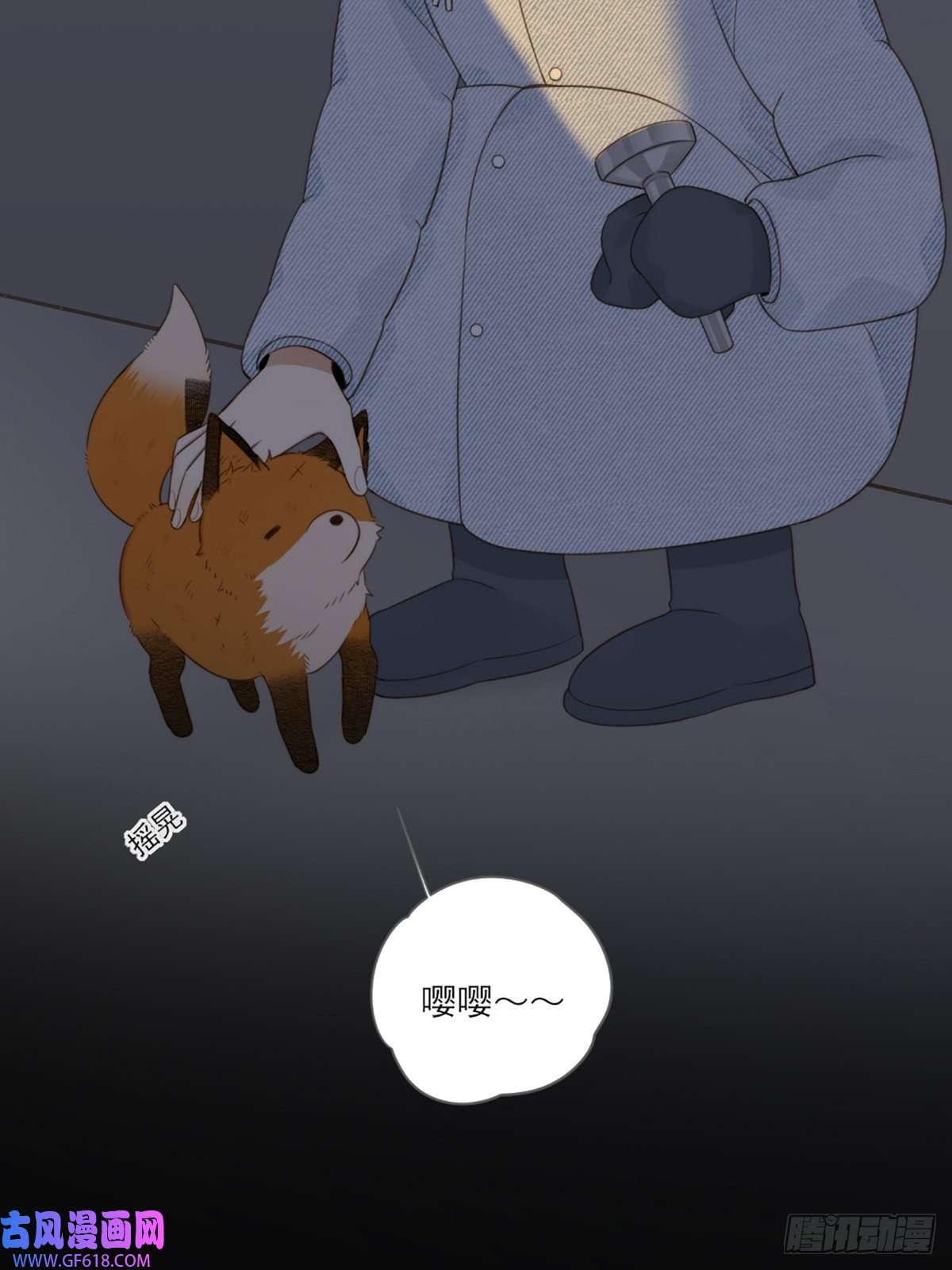 只有尾巴不可以！抱着你入睡