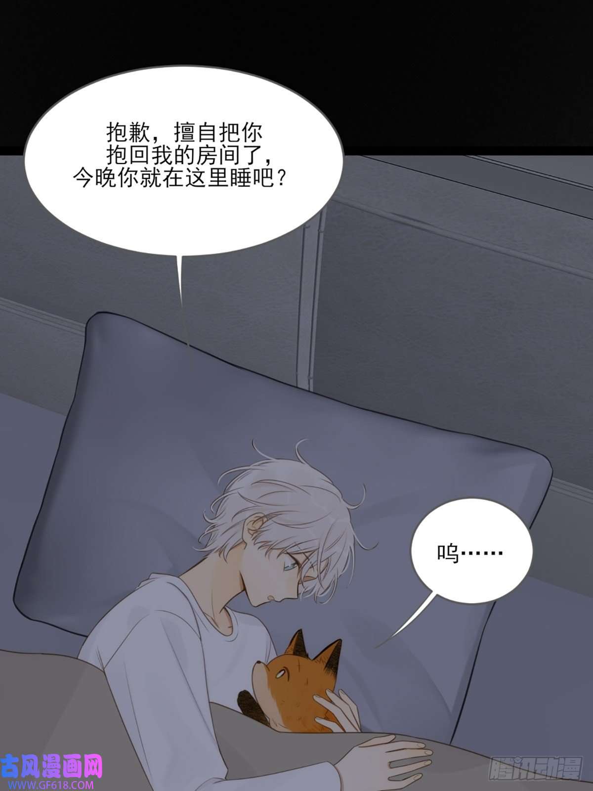 只有尾巴不可以！抱着你入睡