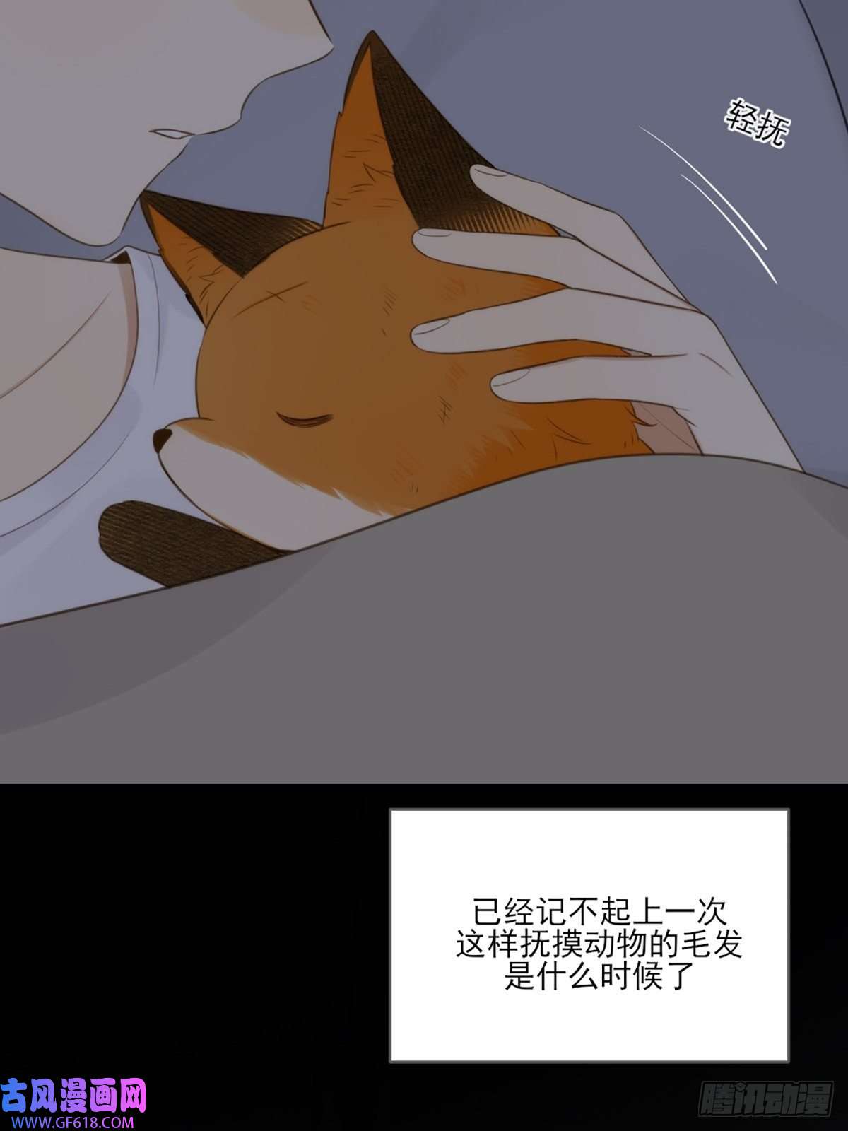 只有尾巴不可以！抱着你入睡