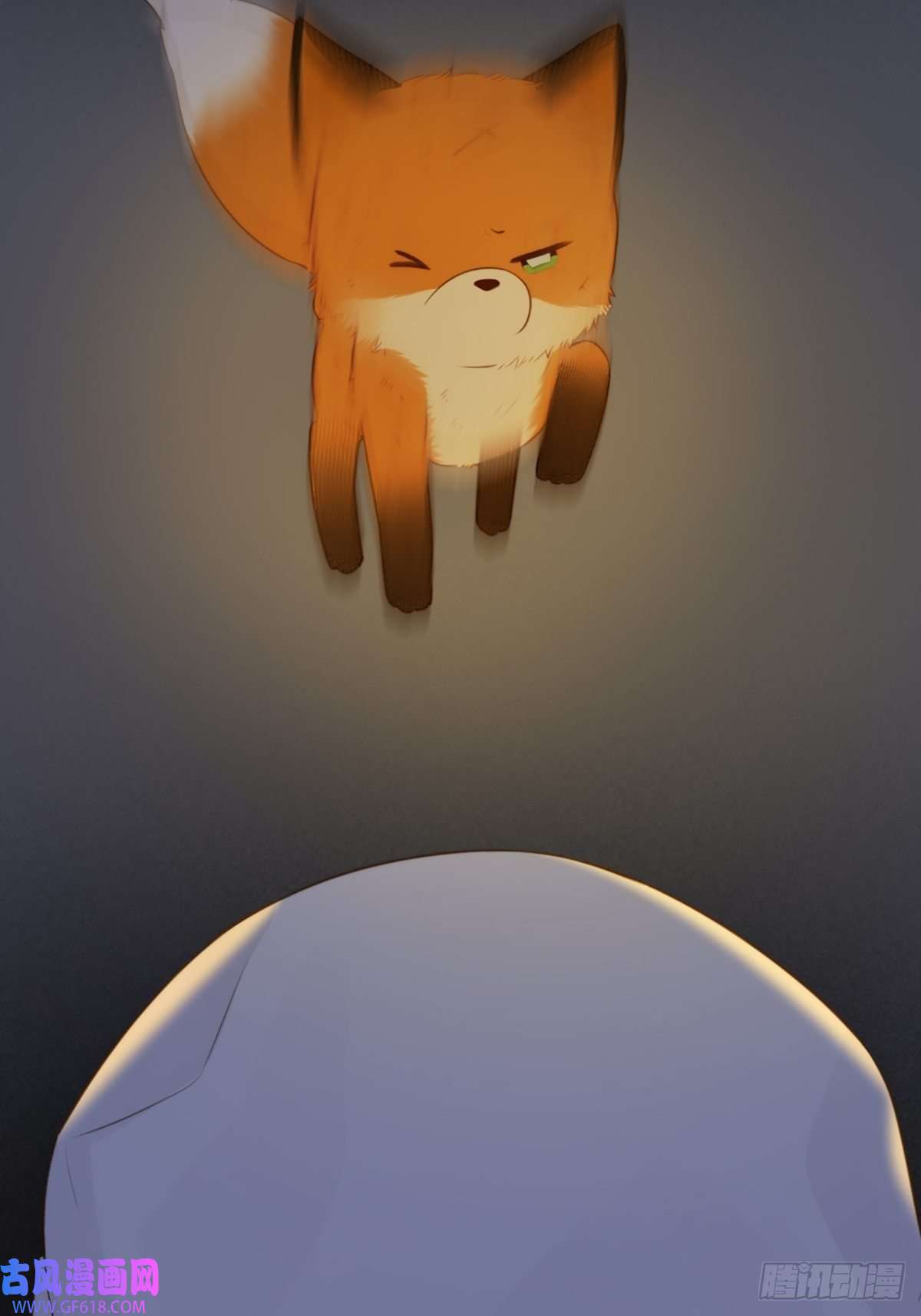 只有尾巴不可以！抱着你入睡