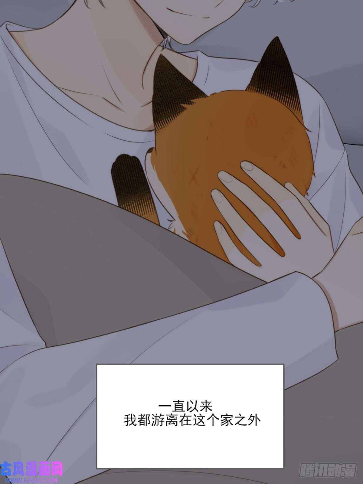 只有尾巴不可以！抱着你入睡