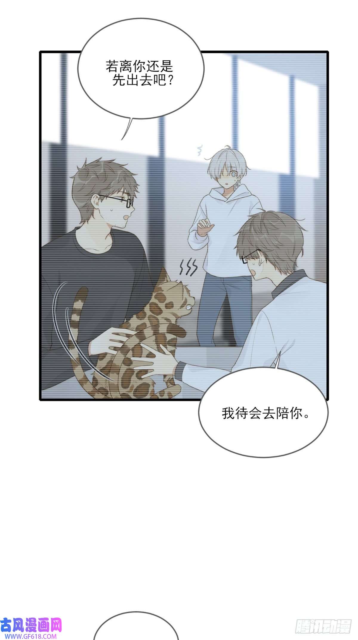 只有尾巴不可以！抱着你入睡