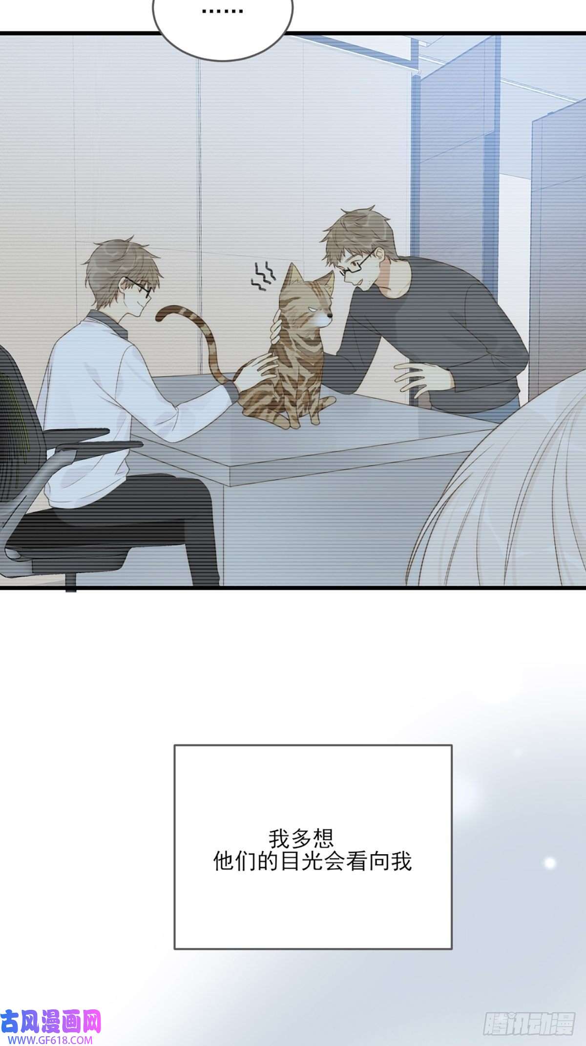 只有尾巴不可以！抱着你入睡