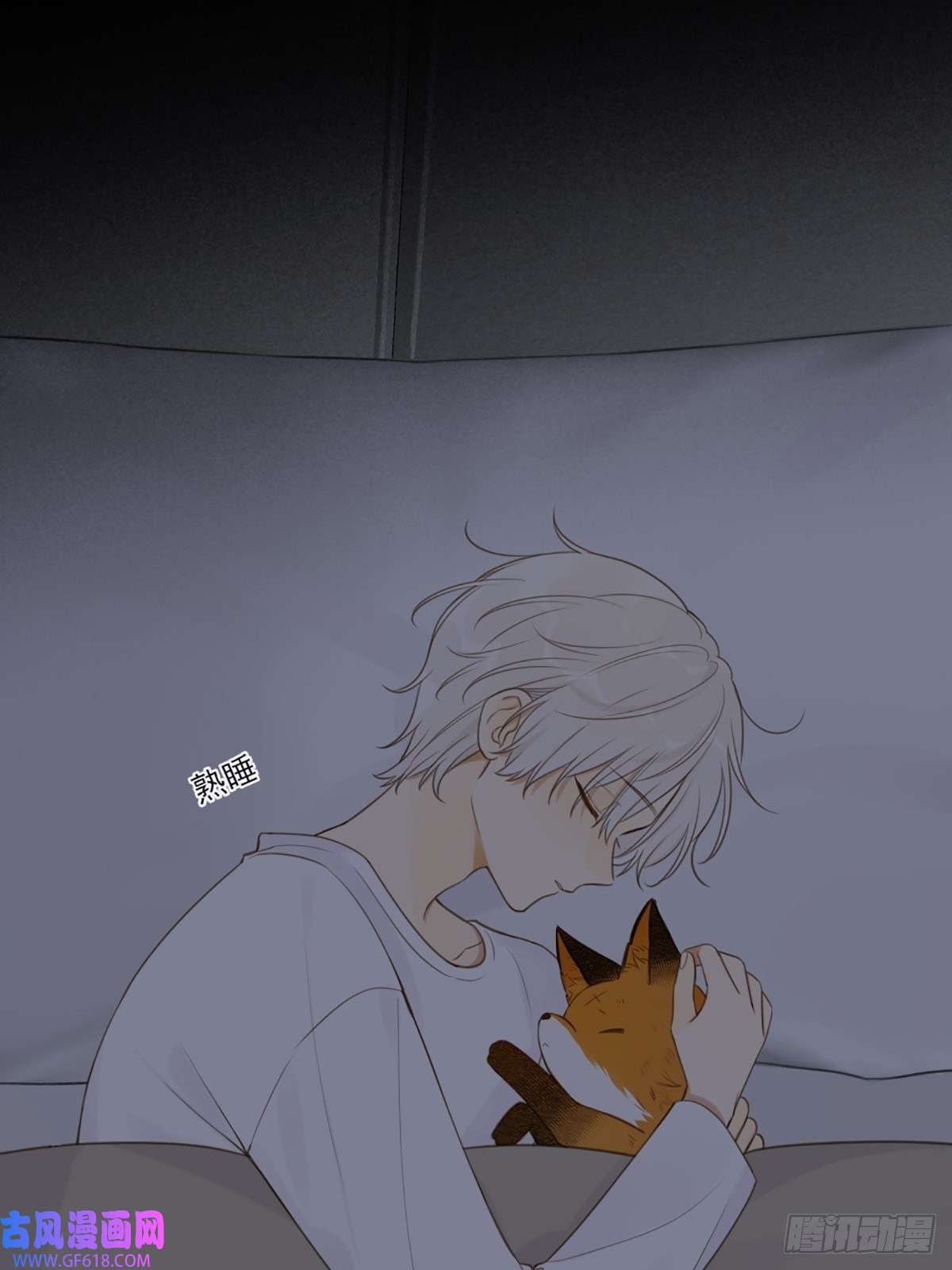 只有尾巴不可以！抱着你入睡