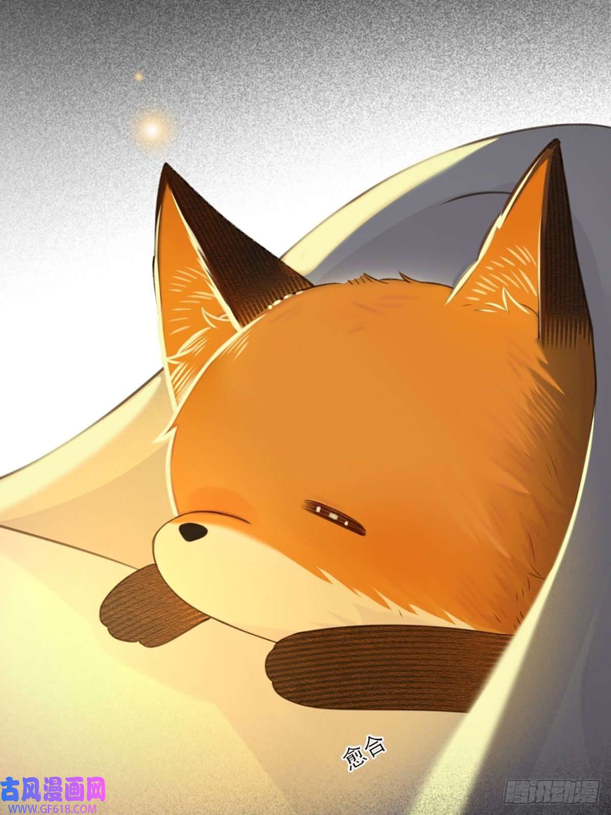 只有尾巴不可以！抱着你入睡