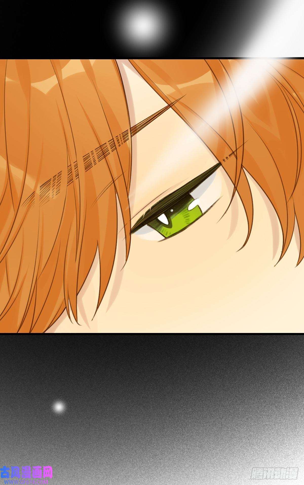 只有尾巴不可以！抱着你入睡