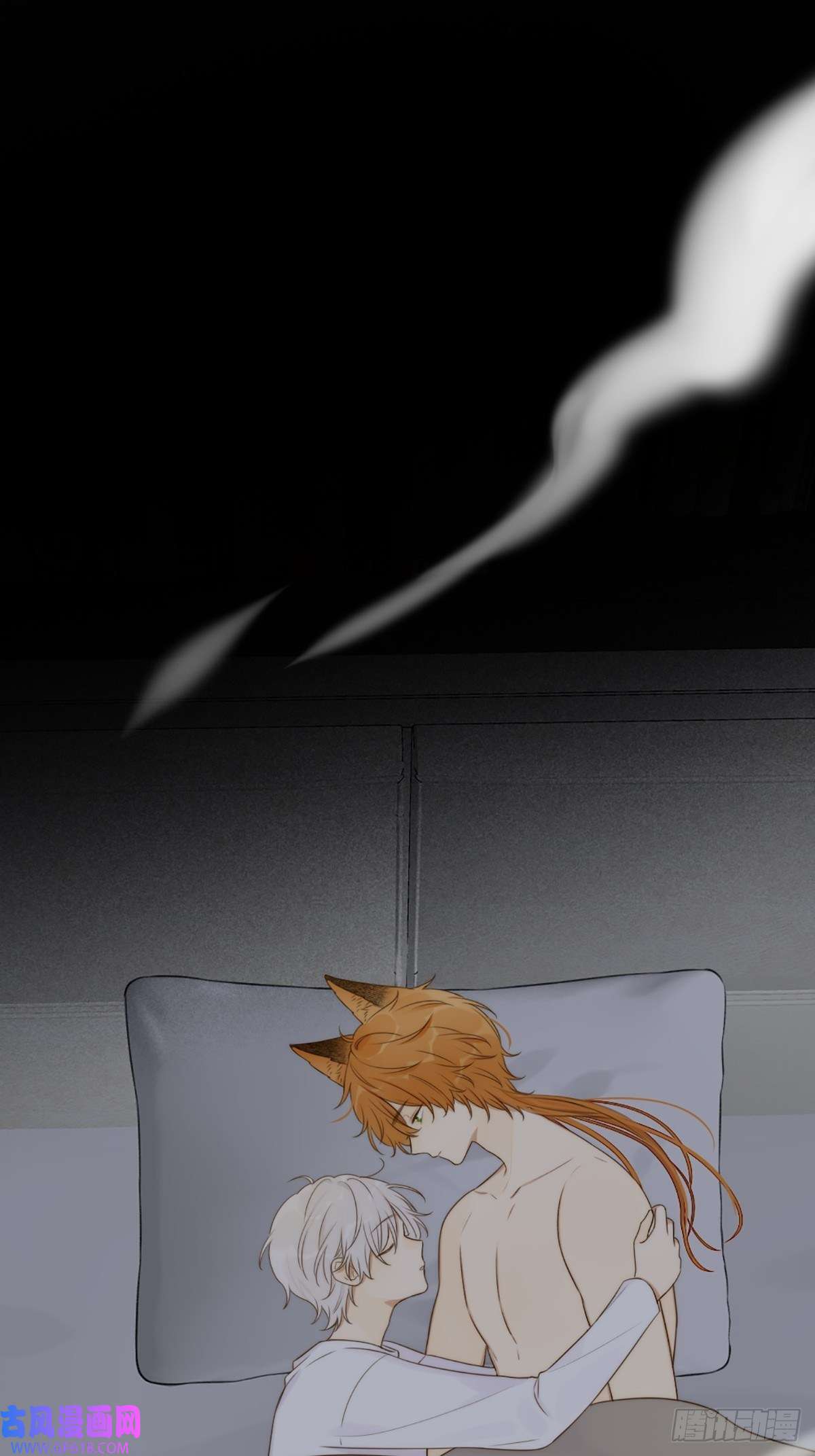 只有尾巴不可以！抱着你入睡