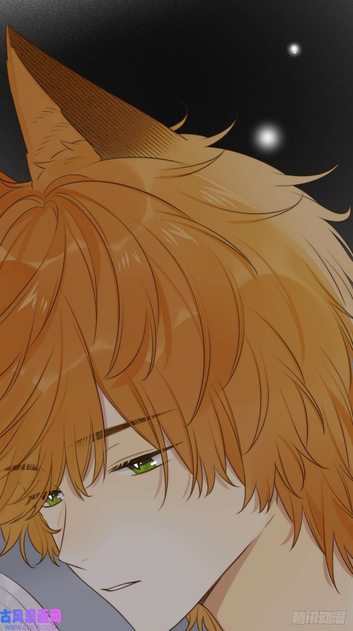 只有尾巴不可以！抱着你入睡