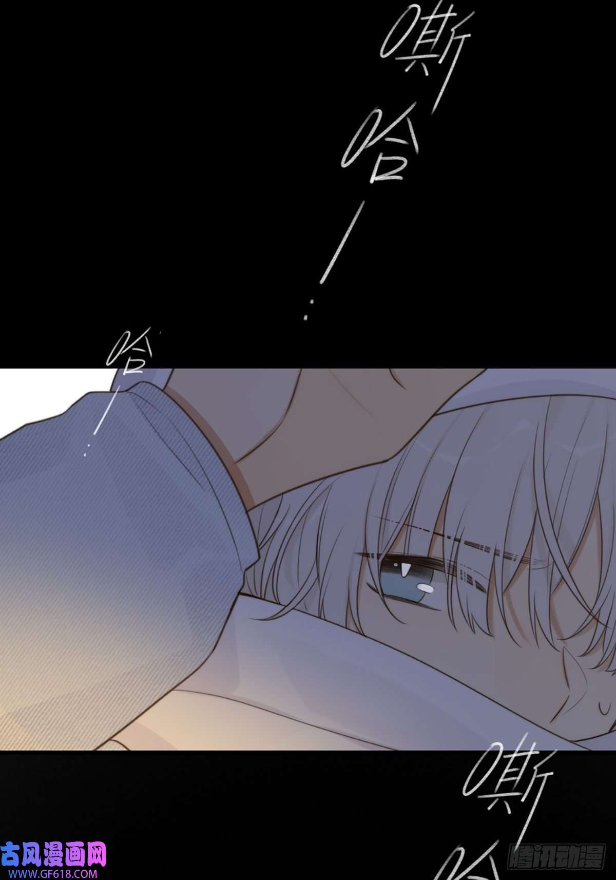 只有尾巴不可以！抱着你入睡