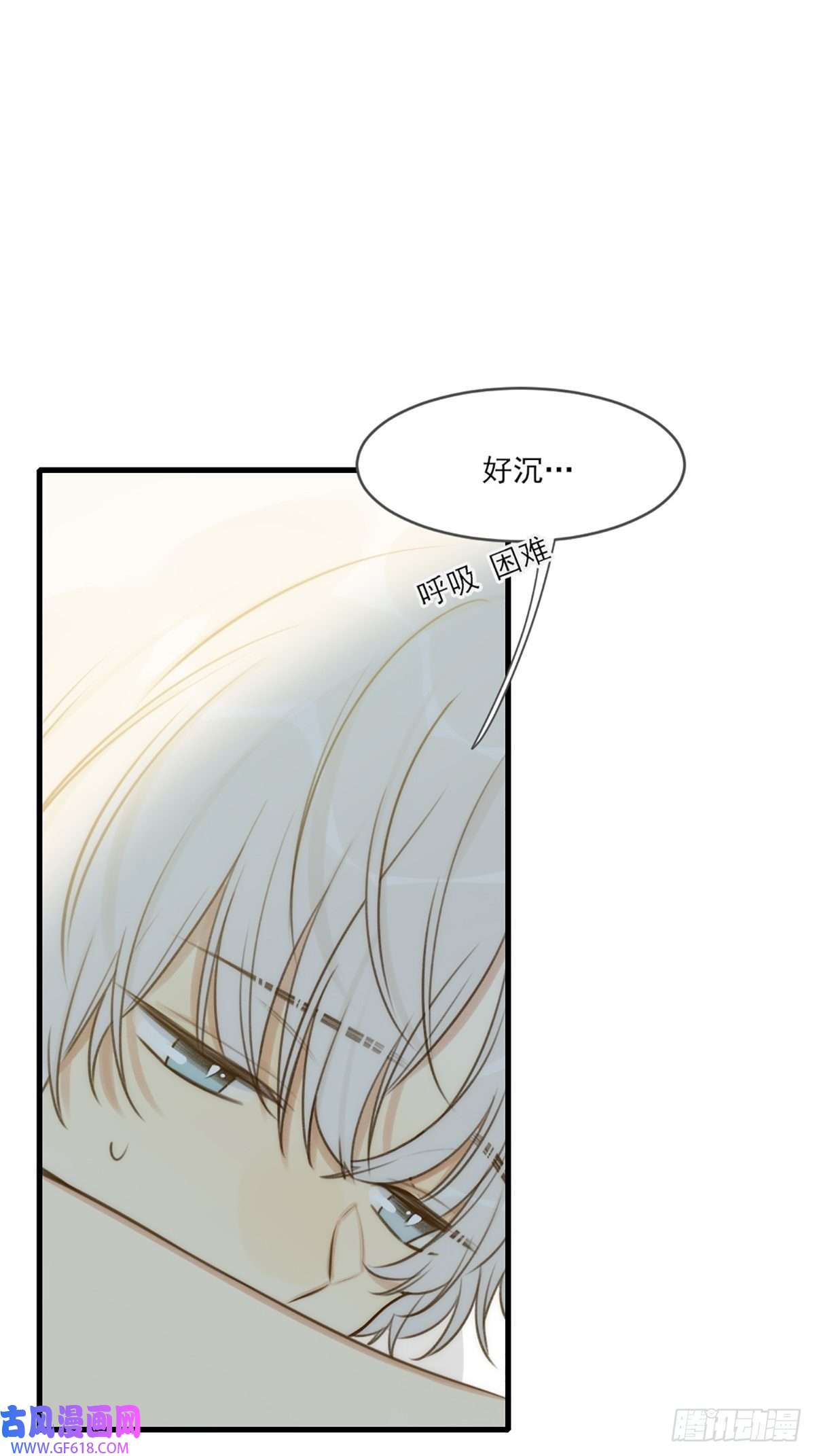 只有尾巴不可以！失忆的狐狸