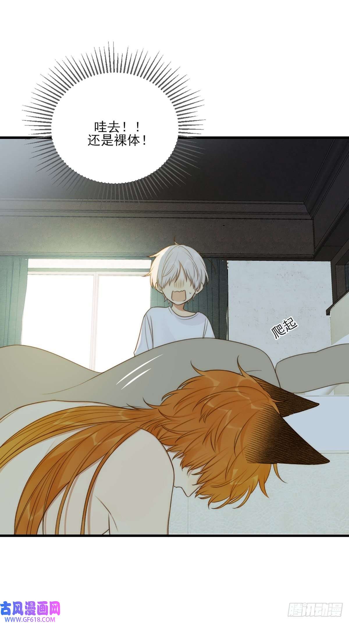 只有尾巴不可以！失忆的狐狸