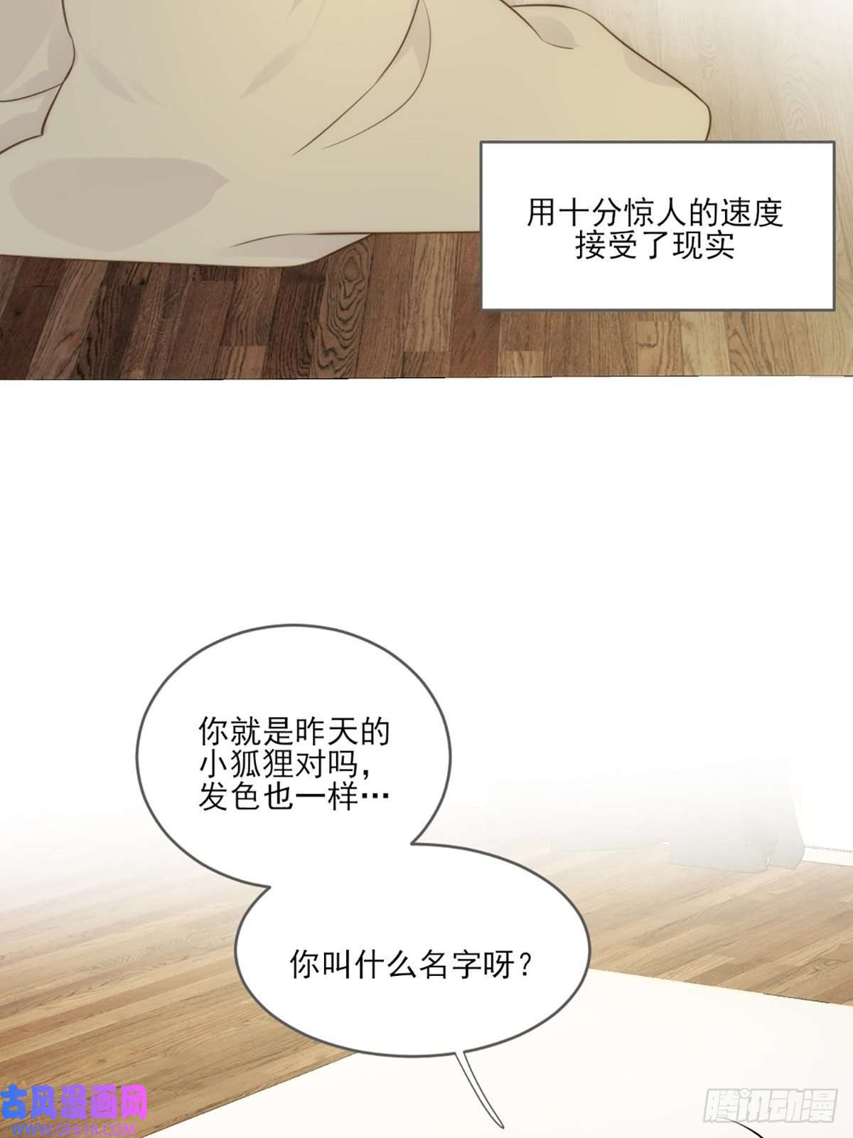 只有尾巴不可以！失忆的狐狸