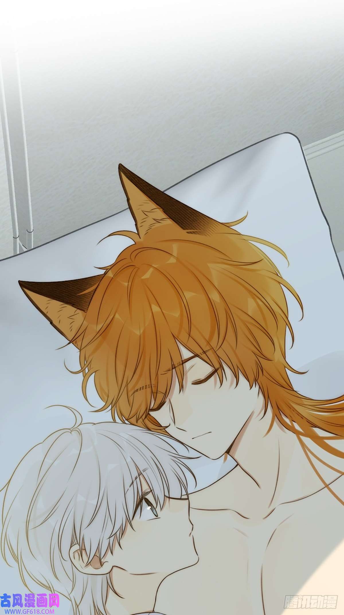 只有尾巴不可以！失忆的狐狸