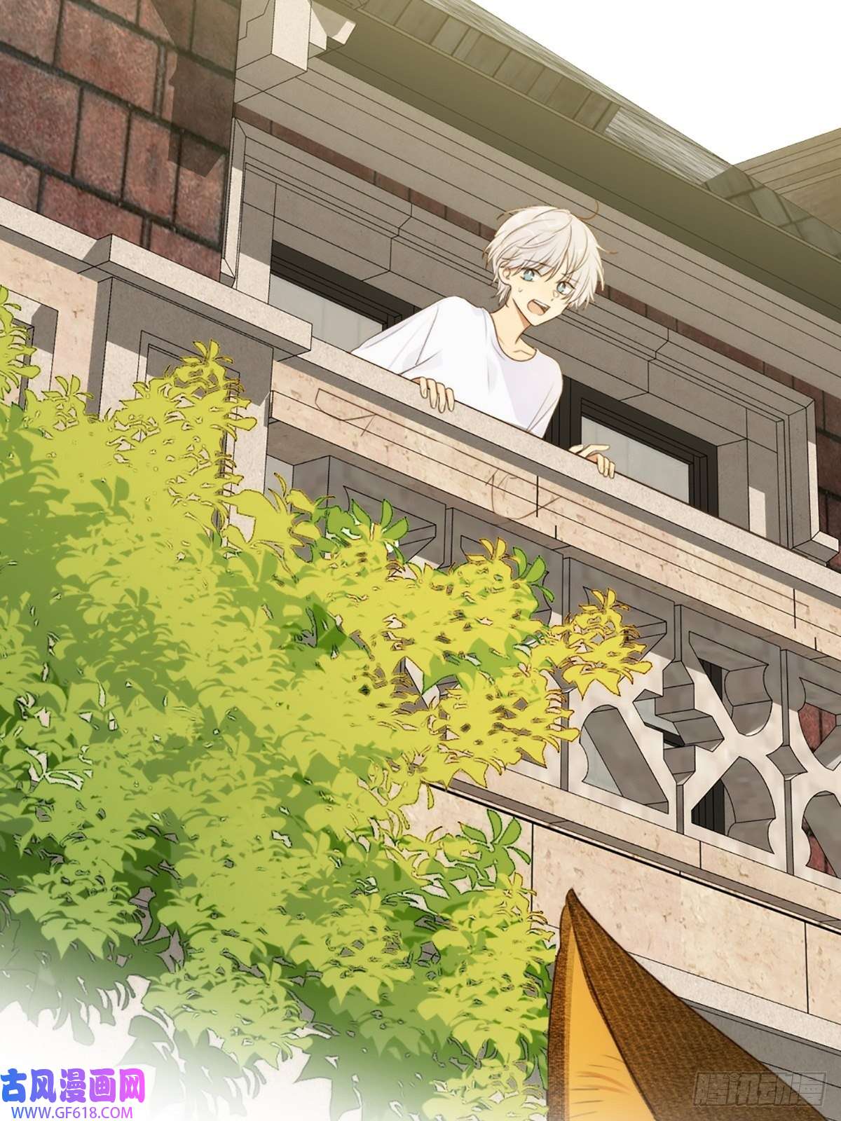 只有尾巴不可以！失忆的狐狸