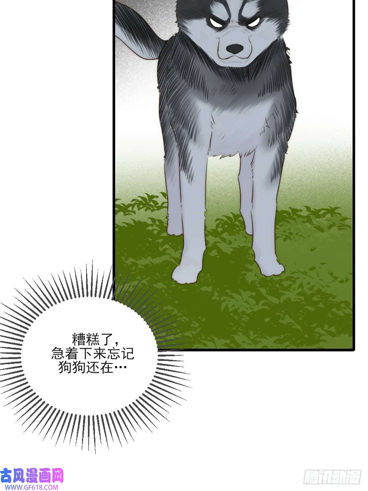 只有尾巴不可以！失忆的狐狸