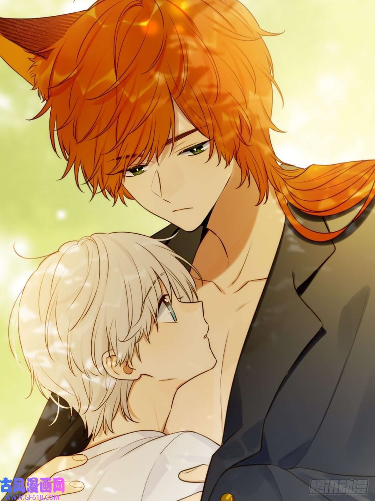 只有尾巴不可以！失忆的狐狸