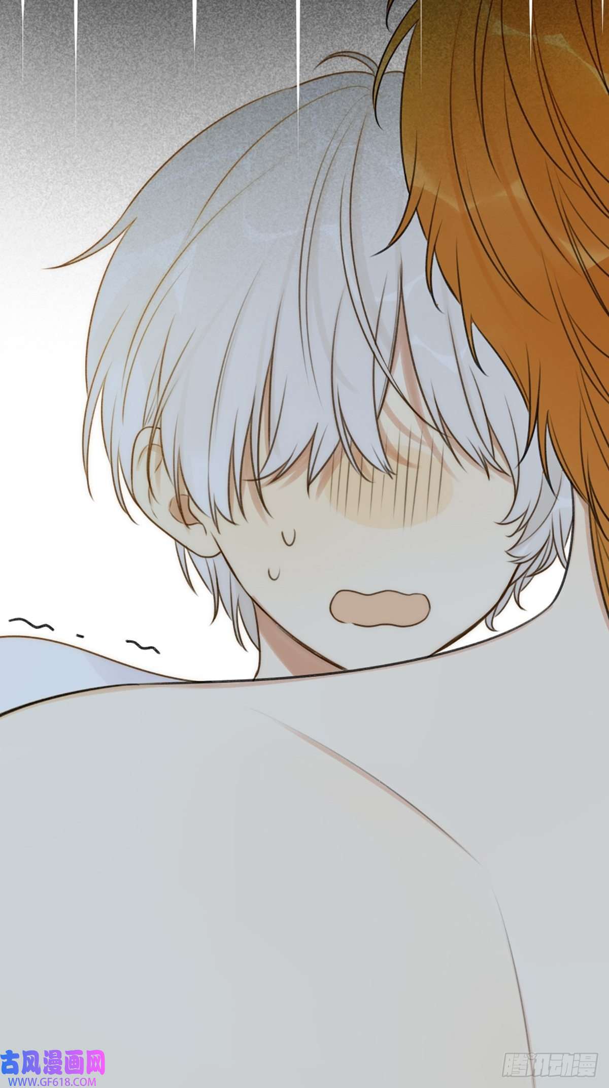 只有尾巴不可以！失忆的狐狸