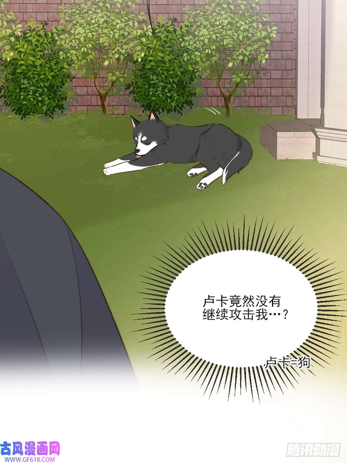 只有尾巴不可以！奇妙的化学反应